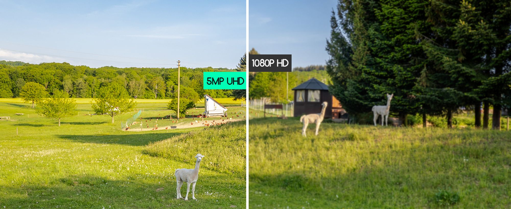 COOAU 5MP Überwachungskamera Außen Akku mit 64GB SD-Karte, 355°|120° PTZ WLAN IP Kamera Outdoor, Farbnachtsicht, 4DBi, PIR-Sensor, Personen Erkennung, 2-Wege-Audio, Arbeit mit Alexa, IP66