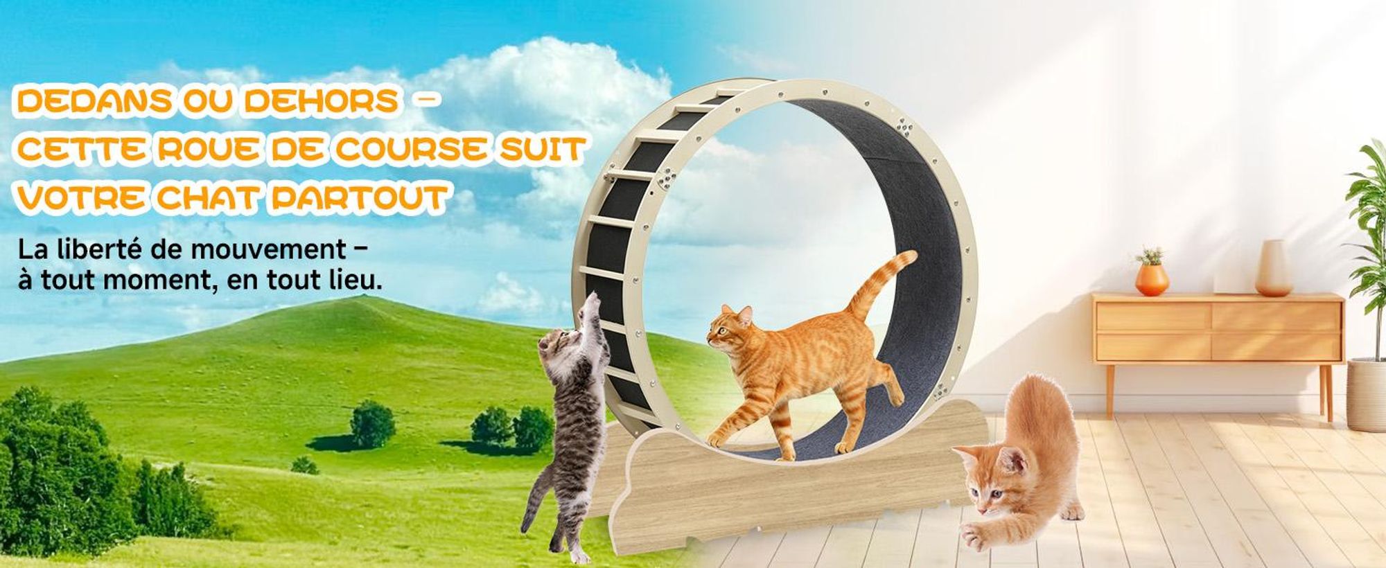 GTPLAYER Roue d'exercice pour chats, roue d'exercice pour chats, extra grande 100 cm, roue d'exercice ultra silencieuse avec tapis et jouets amovibles, autocollants, verrouillage, geeign