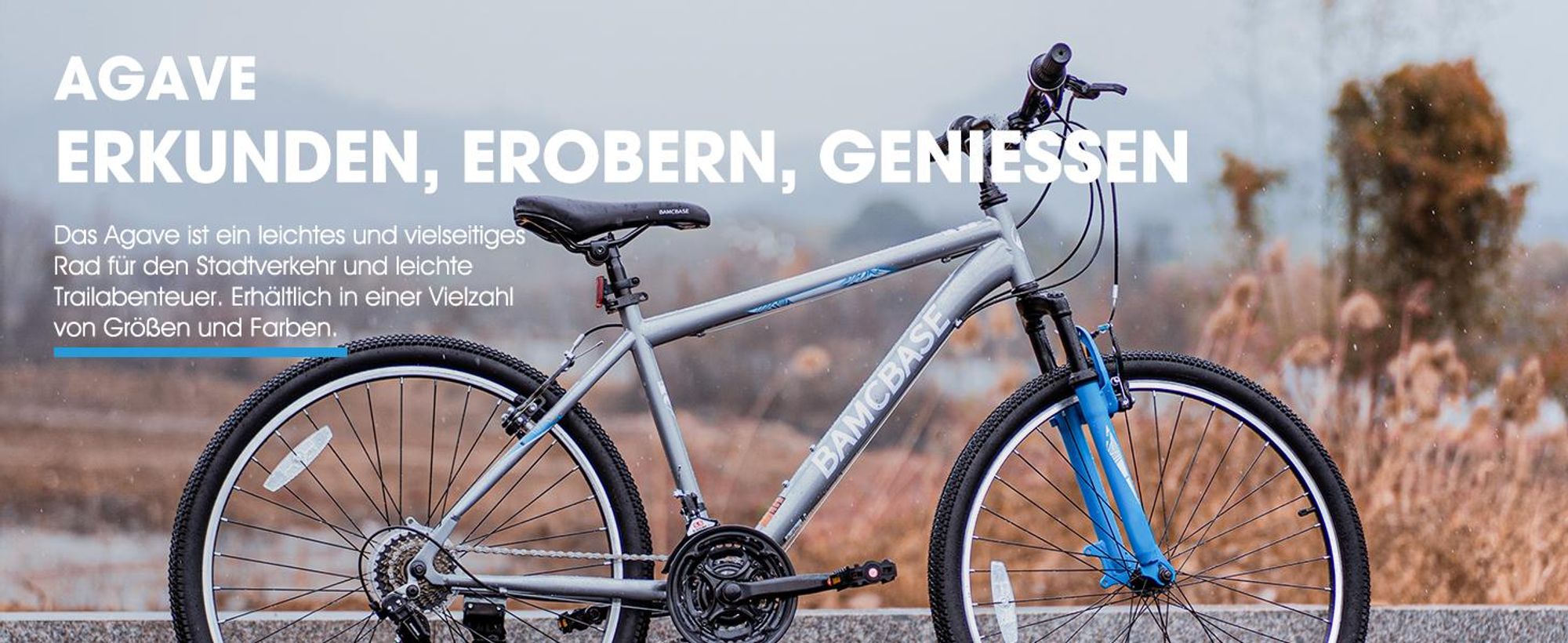 HILAND Mountainbike 29 Zoll MTB Herren Damen, mit 21, V-Bremse, Hardtail Fahrrad, Fahrräder für studentische Pendler, Blau