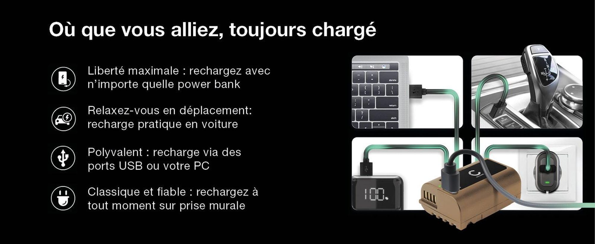 CELLONIC 1x Batterie pour Appareil photo Compatible avec Panasonic Lumix DMC-FZ1000, Lumix DMC-FZ300, Lumix DMC-FZ2000, DMW-BLC12 - (1100mAh, 7.2V)