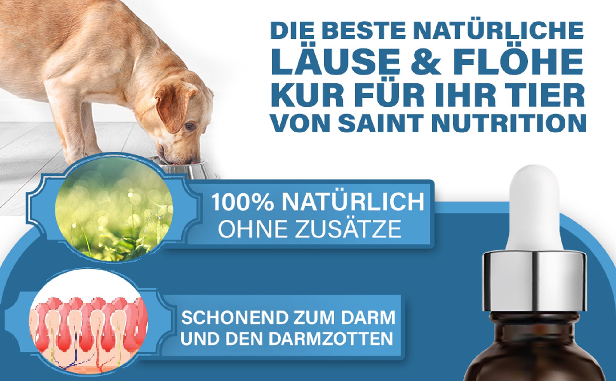 Saint Nutrition® Läuse und Flöhe Liquid - Flohmittel für Hund, Katzen und anderen Tieren – Hilfe gegen Flöhe und Läuse – Bekämpfung von Parasiten