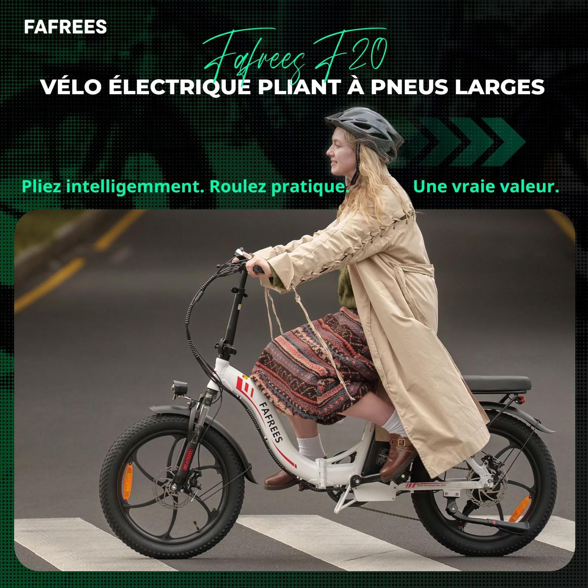 FAFREES F20 Vélo Électrique - Moteur 250W Batterie 36V18Ah 20'' Freins Mécaniques - Gris