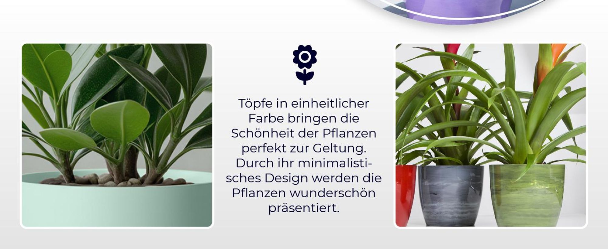 KADAX Blumentöpf "Agen", Pflanzkübel, runder Blumenkübel aus Kunststoff, 18 cm, violetter Marmor
