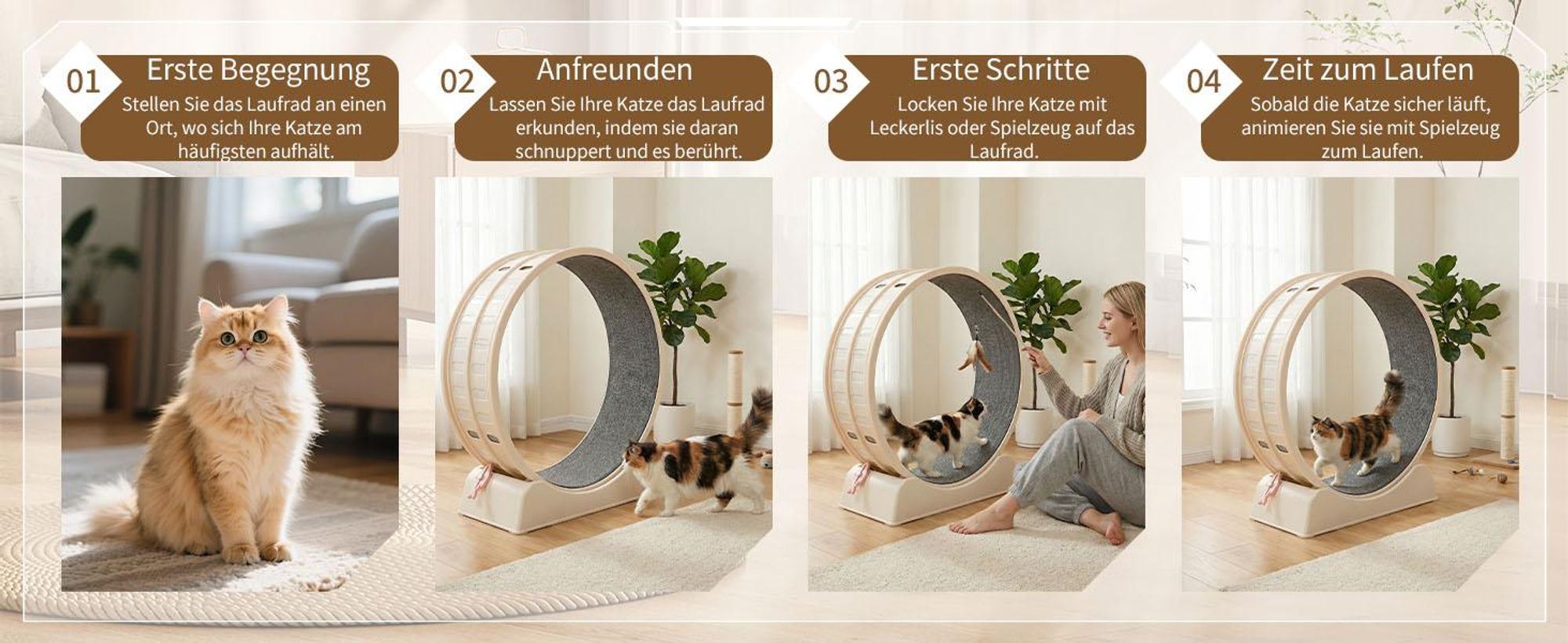 FCH Katzenlaufrad, Laufband für Katzen, Innendurchmesser 80cm, PP-Kunststoff, leise Laufband und Sicherheitsschloss-Design, Cremefarben
