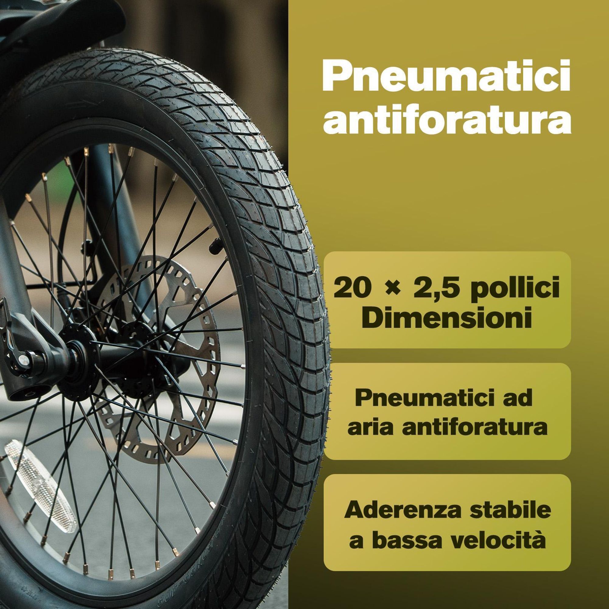 Bicicletta elettrica FAFREES F20 Mate II - Motore 250W Batteria 48V25AH 20" Pneumatici Freno a disco idraulico - Gunfire Nero