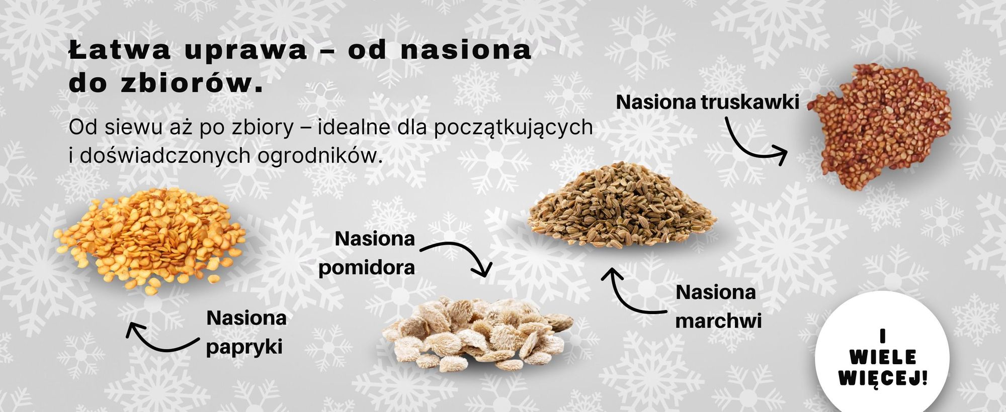 BOXILAND® nasiona kalendarz adwentowy 2026, warzywa zioła owoce kwiaty