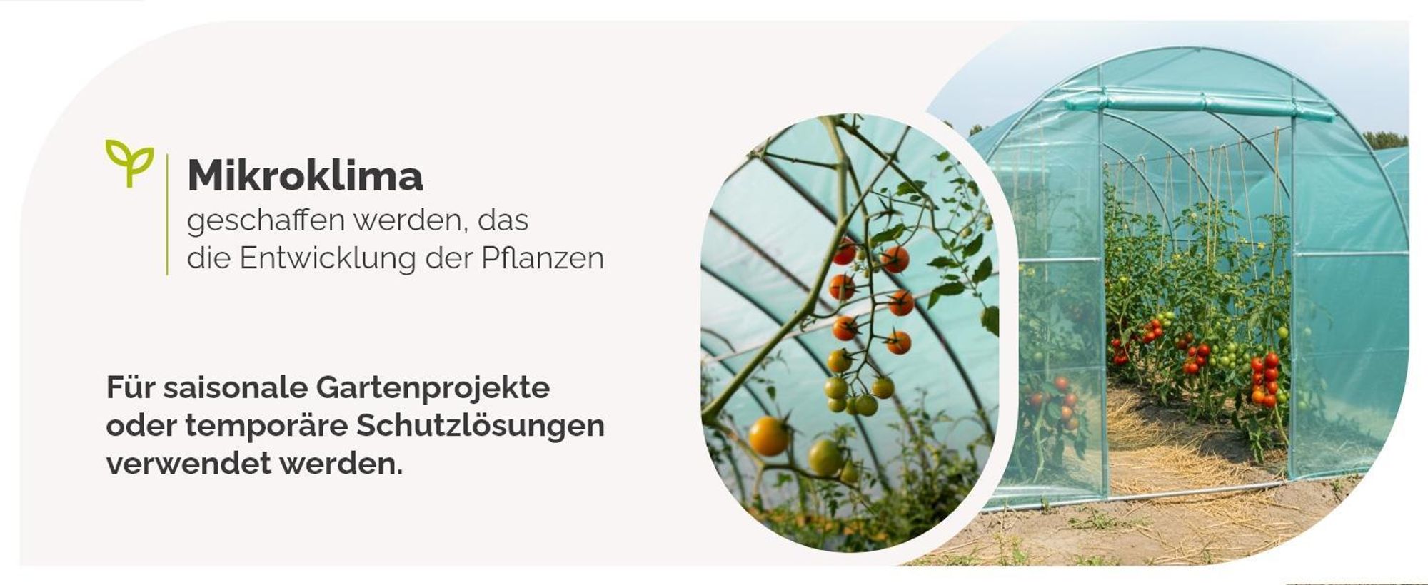 Garronda Gewächshausfolie 6x6 m (Länge x Breite) 3-Schichtig UV Stabilisiert Reißfeste Folie für Gewächshaus Tunnelfolie Folientunnel und Treibhaus Abdeckfolie für Garten GD-0198 Grün