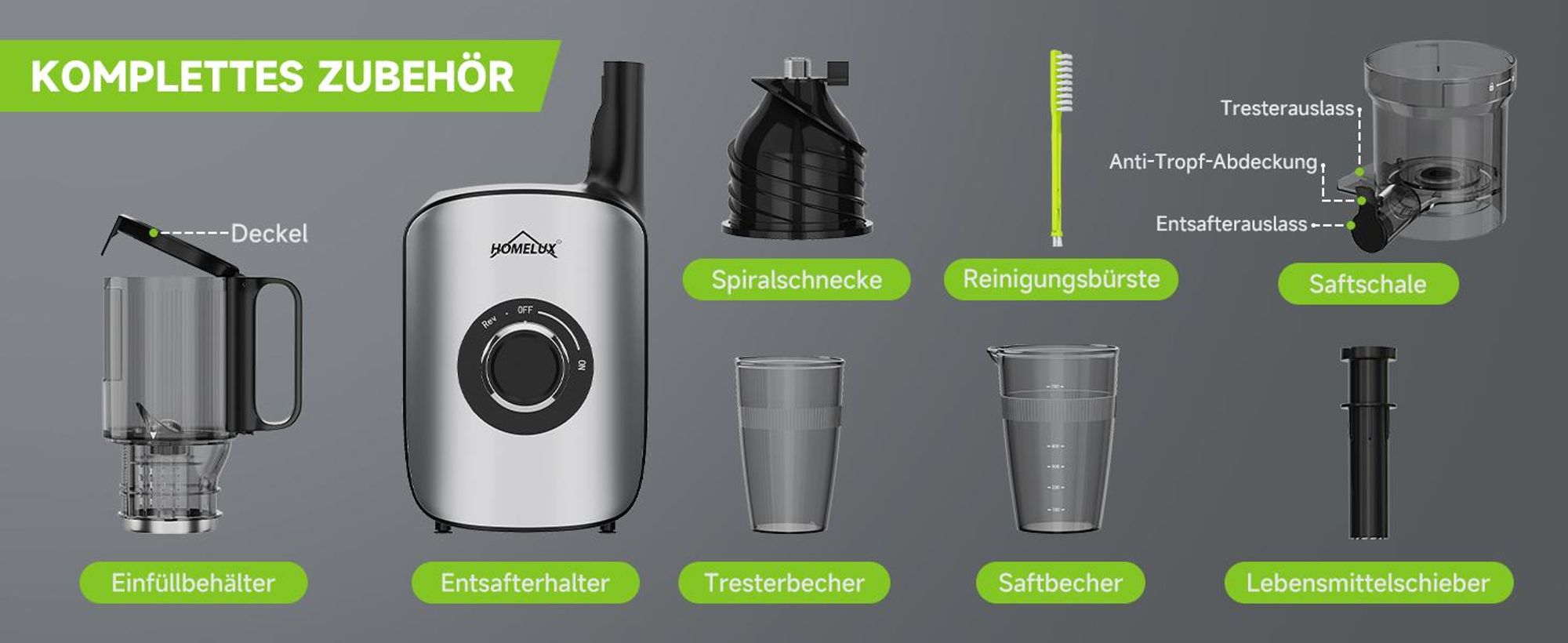 HOMELUX Entsafter 220W Slow Juicer 126 MM Einfüllschacht für Ganze Gemüse und Obst Kaltentsafter Elektrische mit 2 Tassen Reinigungsbürste, Silber