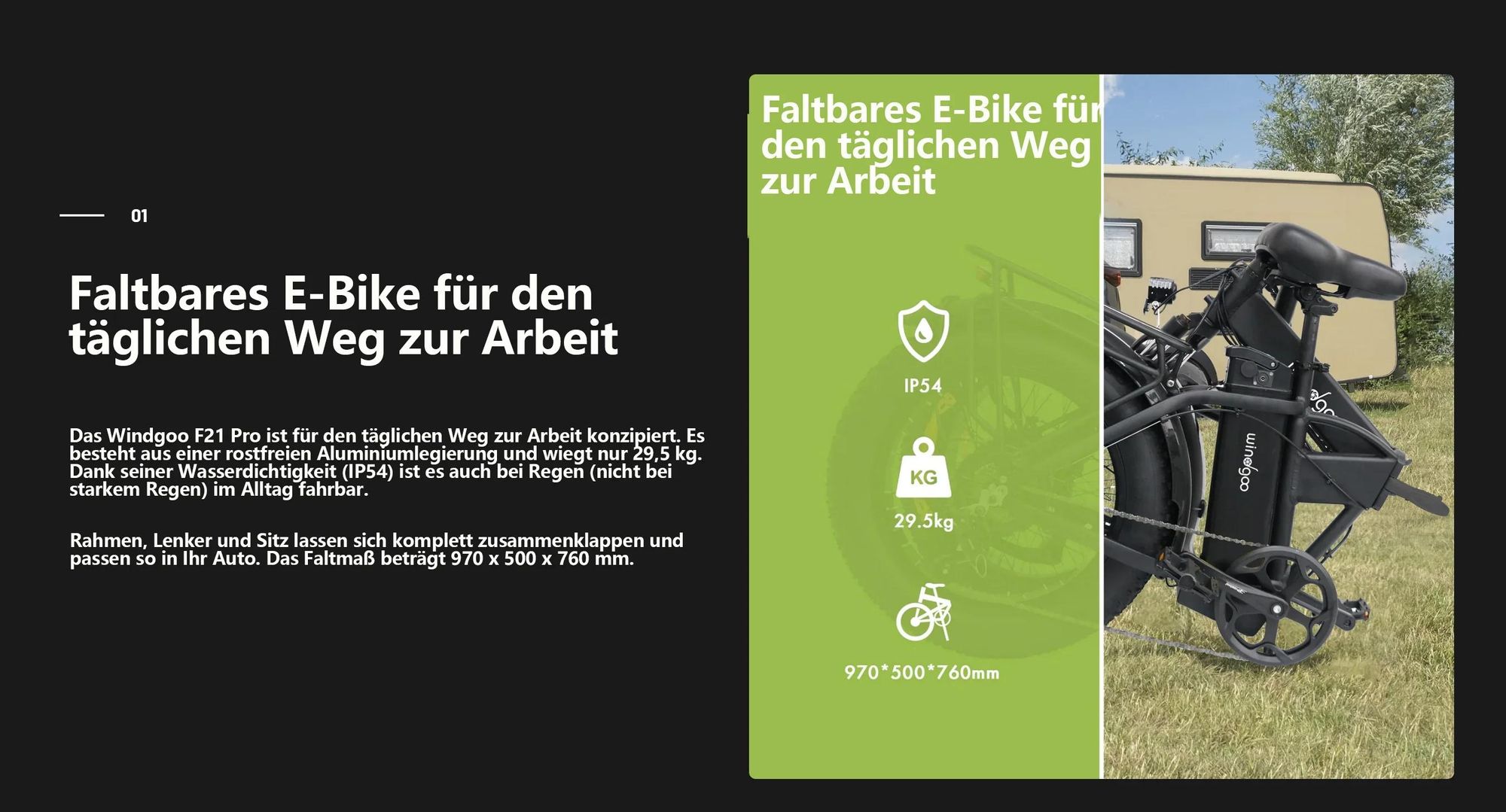 Windgoo F21 Pro Elektrisches Fahrrad - Motor 250W Batterie 48V 12.5Ah 20x4.0 Zoll Fett - Schwarz