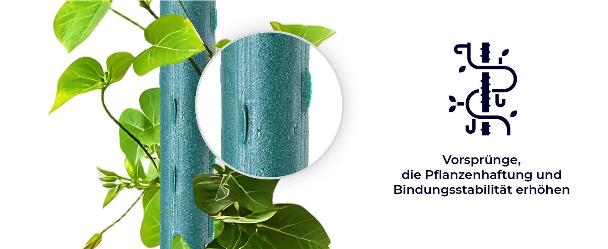 KADAX Blumenstütze aus Stahl "Trang", Pflanzen-Rankstab, Rankhilfe mit Häkchen, Grün, 150 cm, 10 Stück