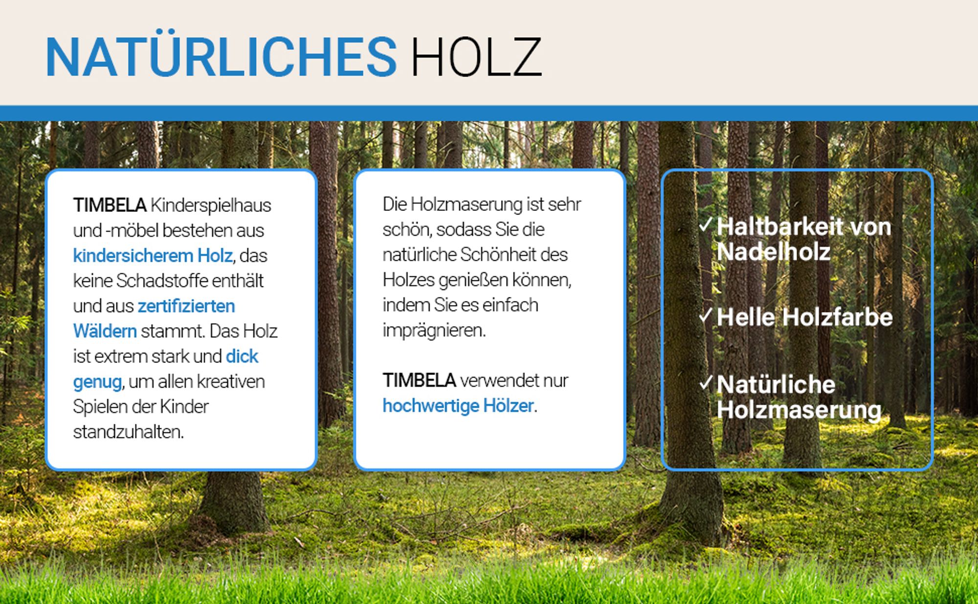Holzkiste Mit Deckel - Aufbewahrungsbox Garten 80 x 50 x H47 cm – TIMBELA M034-1