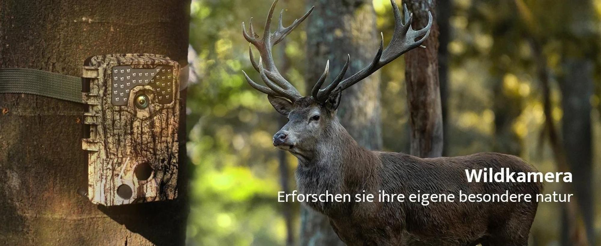 4K Wildtierkamera mit Bewegungsmelder Nachtsicht,120° Erfassungswinkel Wildkamera mit 32GB Karte & 8 Batterien – Outdoor & Sicherheit IP66 Wasserdicht