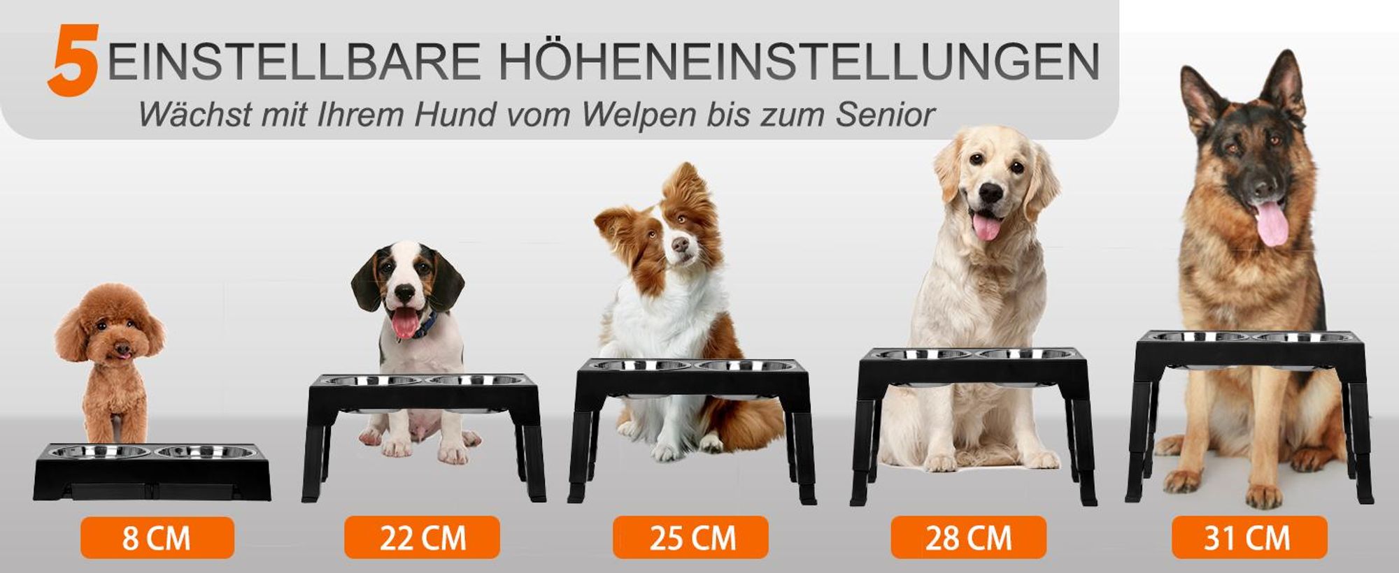 Hundenäpfe, Hundenapf, 4-fach höhenverstellbare und faltbare Futterstation Fressnapf Wassernapf, 2 Edelstahl- und 1 Antischlingnapf Hunde
