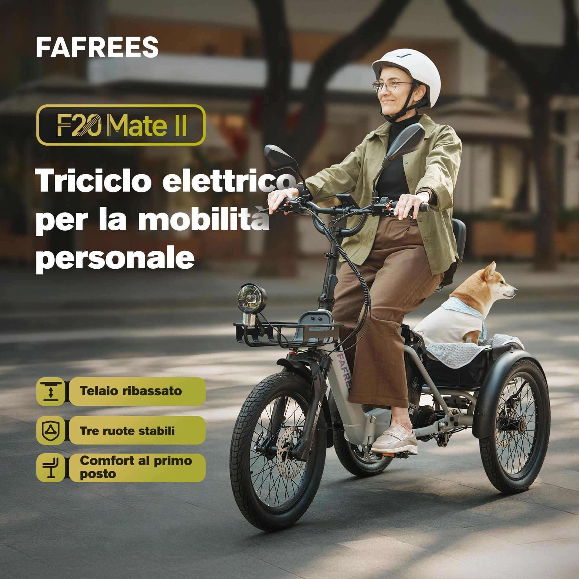 Bicicletta elettrica FAFREES F20 Mate II - Motore 250W Batteria 48V25AH 20" Pneumatici Freno a disco idraulico - Gunfire Nero