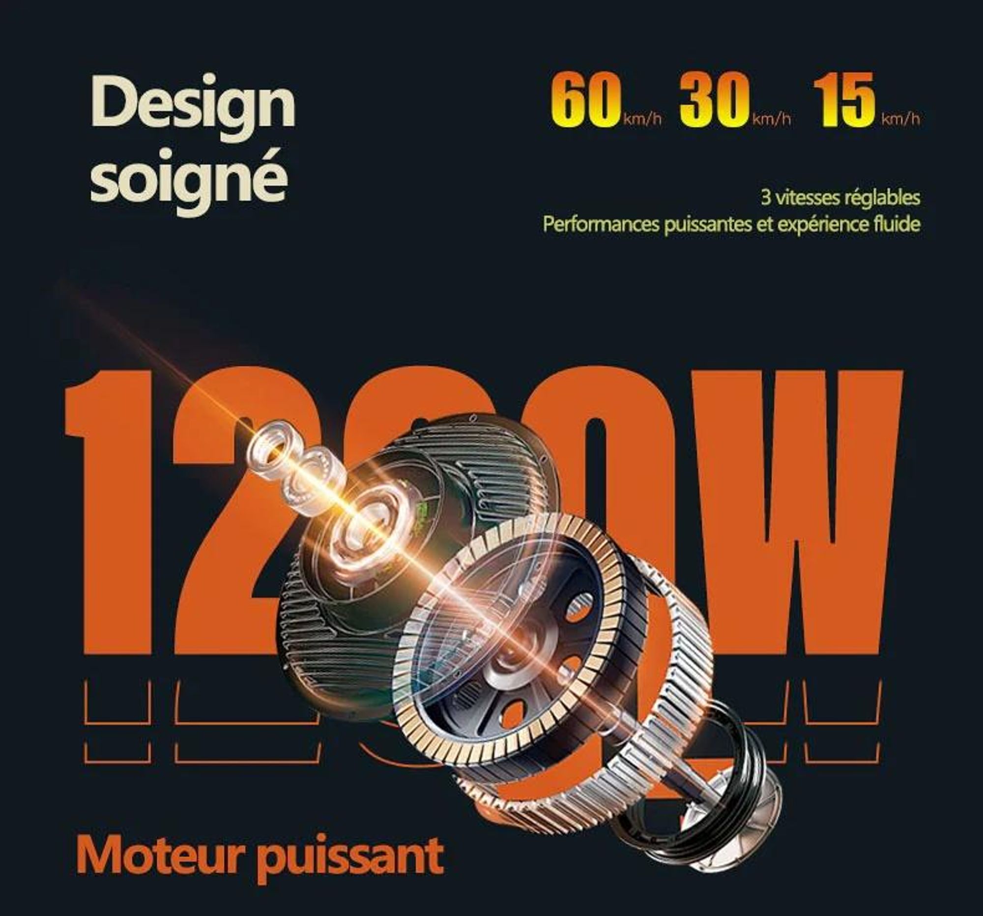 Trottinette Électrique GELEIPU Z1 - Batterie 48V20AH 10" Pouces Roue Freins à Disque - Noir