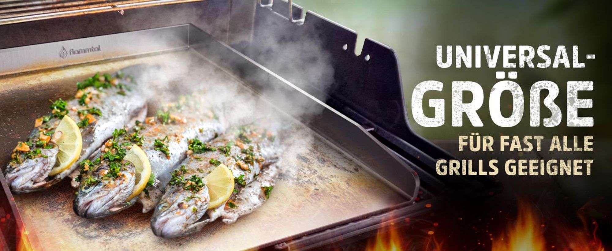 Flammtal [Das Original] – Grillplatte aus 4mm rostfreiem Edelstahl [40 x 30cm] – Plancha Grillplatte mit Grillspachtel Set & Burgerpapier (offen)