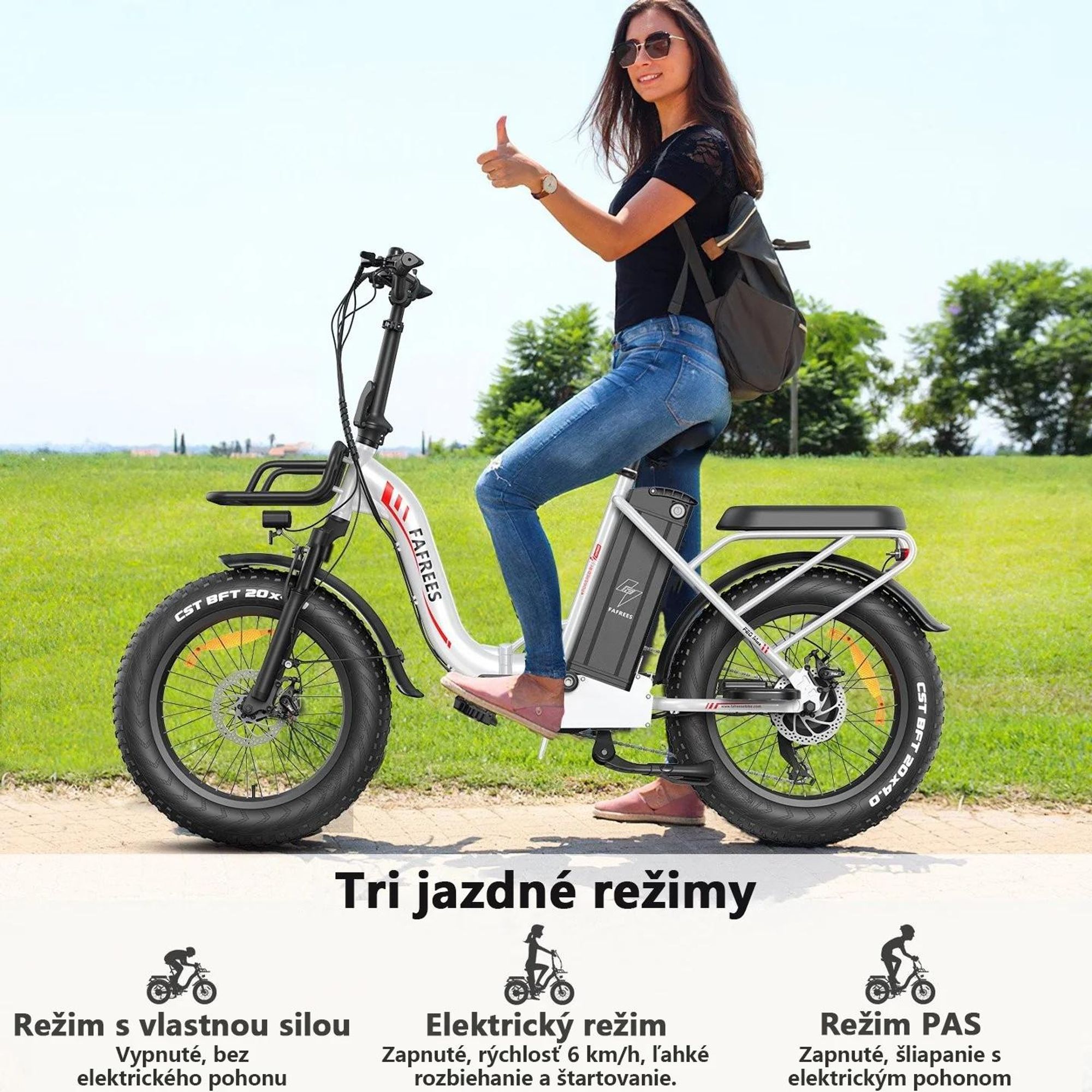 Electric Bike FAFREES F20 Max - Batéria 48V30AH Pneumatika 20" Mechanická kotúčová brzda - Čierna