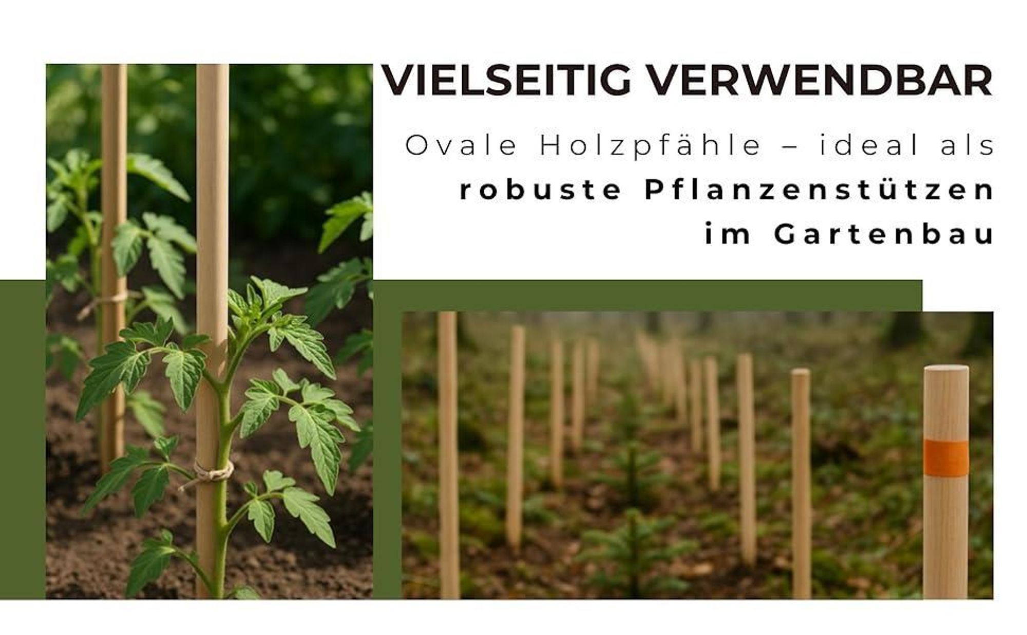 25 Stück Buchenholz Ovale Holzpfähle ⌀ 18 mm Länge 78 cm Zaunpfosten Robuste Pflanzstäbe Tomaten Rankhilfe Tomatenstangen Pflanzenstützen