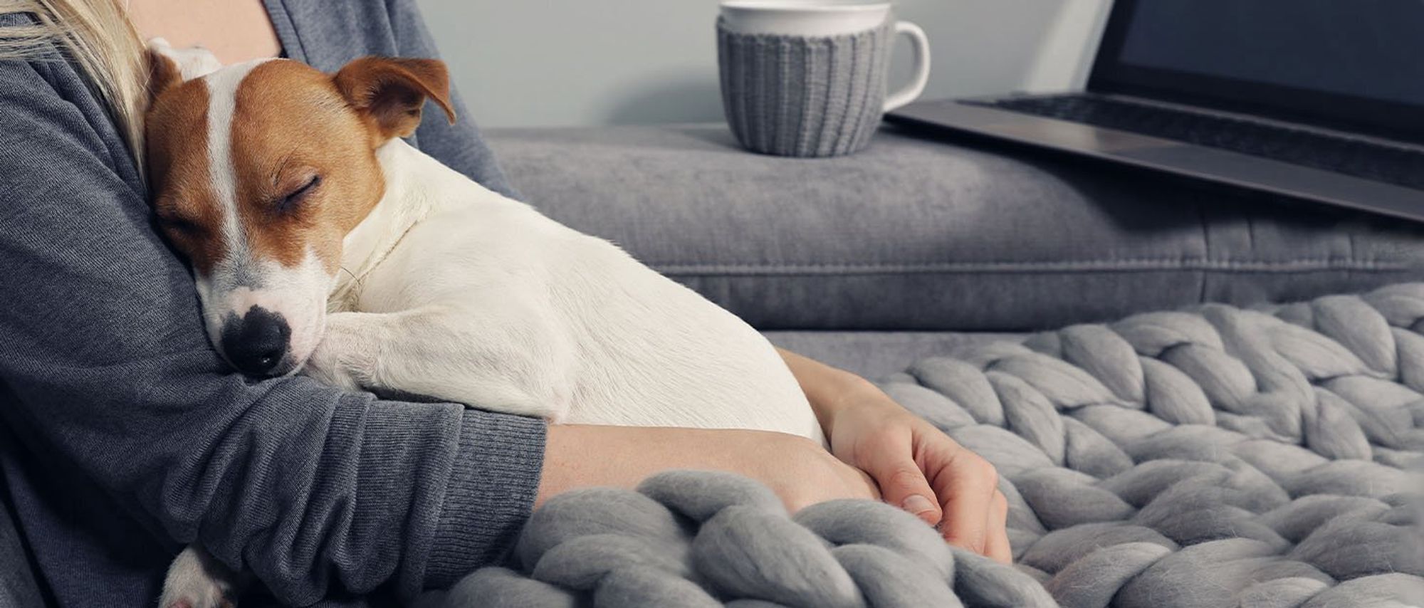 PawHut Hundekäfig, Haustierkäfig mit Kissen, Hundehaus, Hundehütte, Weiß