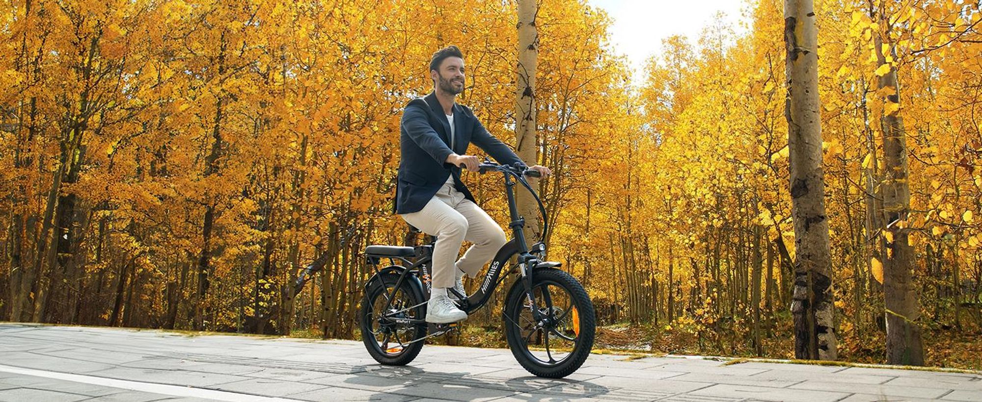HillMiles E Bike, E-Bike Klapprad mit 36V 13Ah Akku bis zu 80-100km, 20 *3.0 Zoll, 7-Gang SHIMANO, 250W Motor & 25km/h MilePort 1