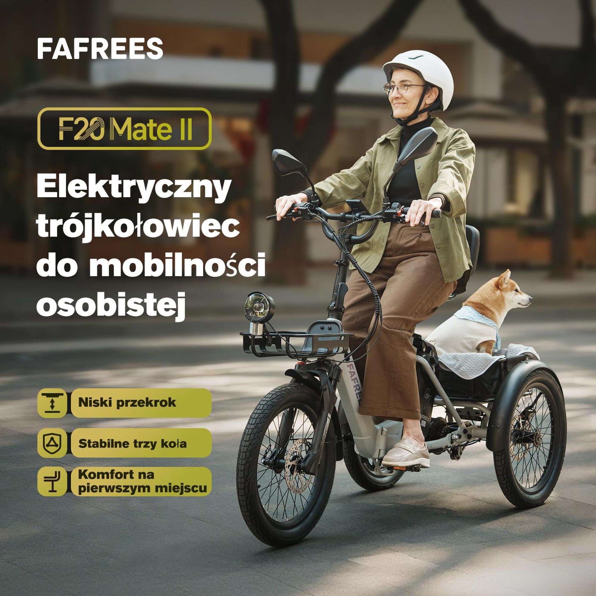 Rower elektryczny FAFREES F20 Mate II - Silnik 250W Akumulator 48V25AH 20 Calowe Opony Hydrauliczny hamulec tarczowy - Zielony wojskowy