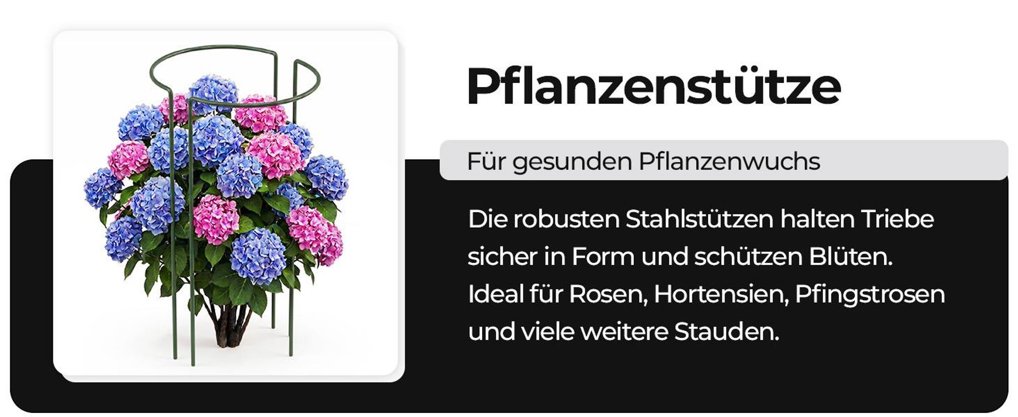Staudenhalter-Set x10 – Pflanzenstütze, Rankhilfe Rosenstütze – Stahl pulverbeschichtet Dunkelgrün – Höhe 70 cm, Breite 37–40 cm, Drahtstärke ø 6 mm – für Stauden Sträucher Rose