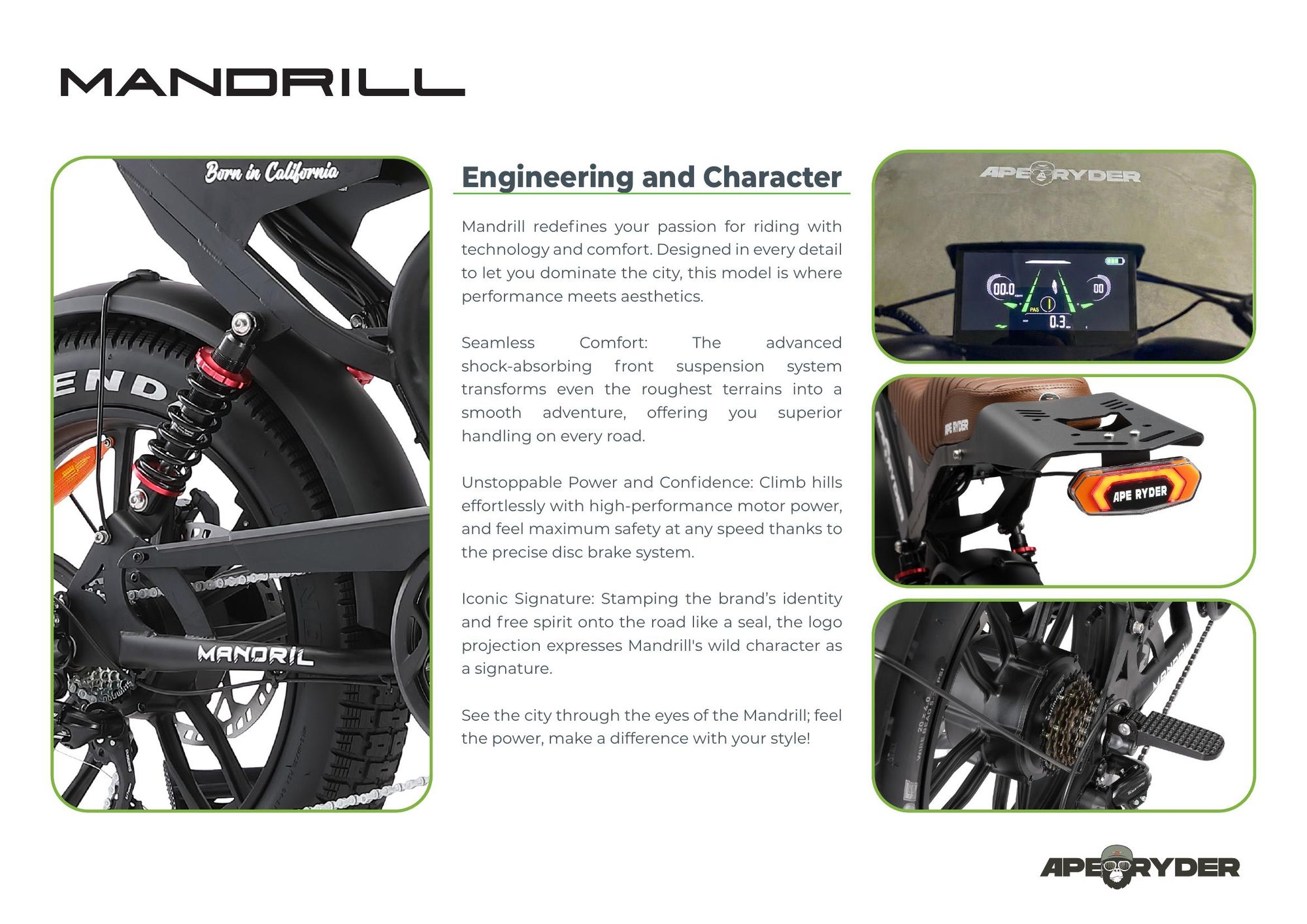 APE RYDER Mandrill E-Bike 20" Fatbike, 250W Motor, 48V 15Ah (100-130 km), Hydraulische Scheibenbremsen, Dual Suspension, Shimano 7-Gang, 25 km/h