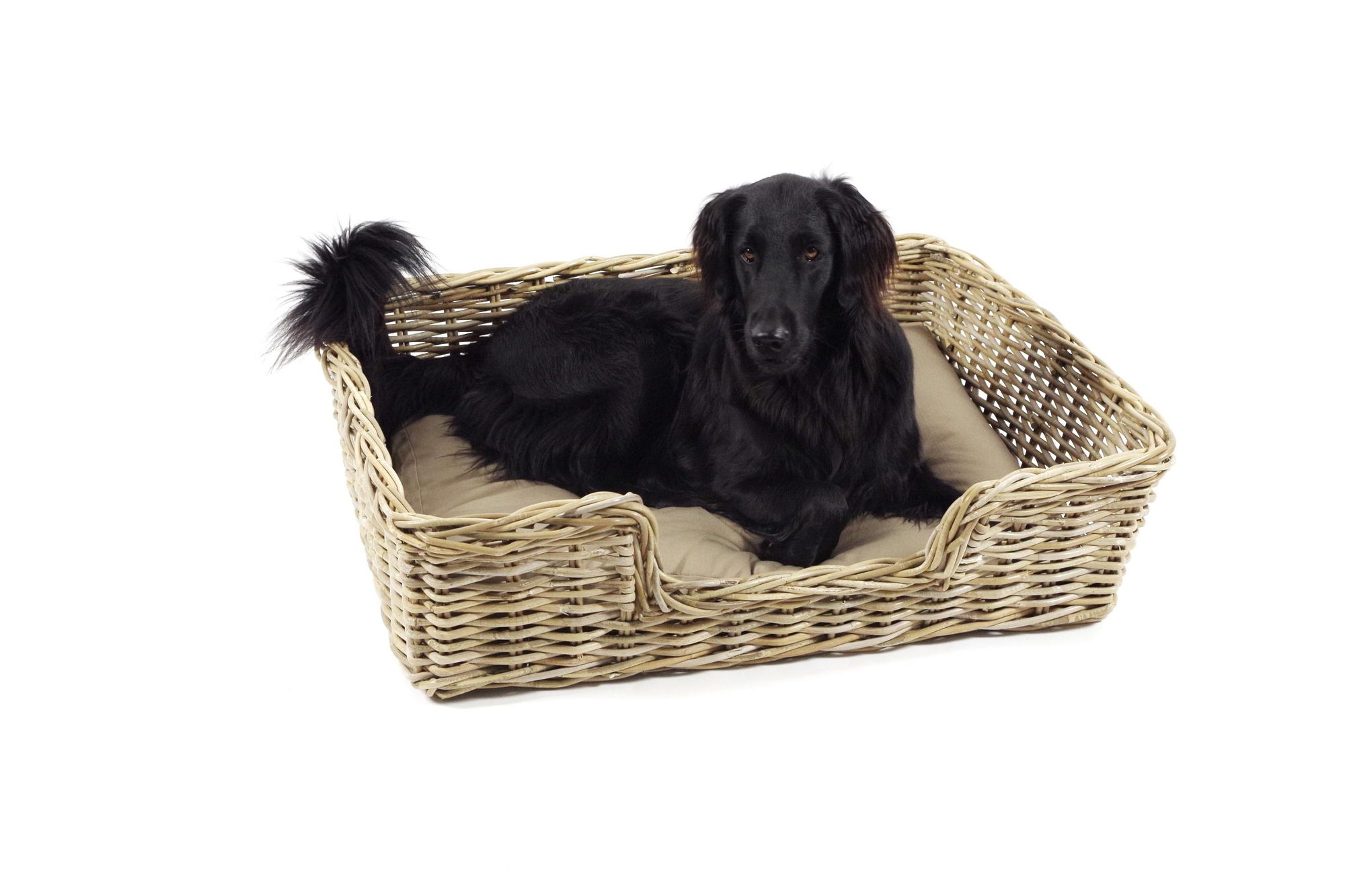 Kobolo Hundekorb 90x72x23 cm stabiles Rattan geflochten inkl. Kissen für große Hunde - Hundesofa Haustiersofa Wendekissen Hundeliege Hundematte Couch