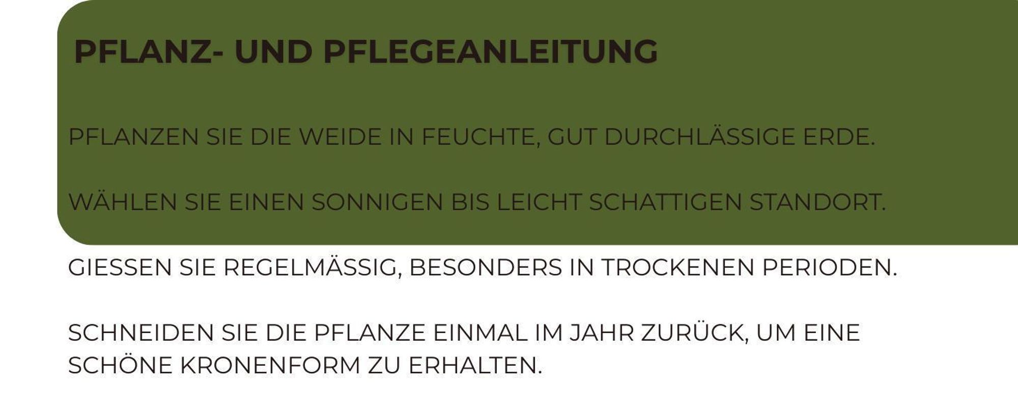 Geflochtener Weidenbaum 180 cm Geflochtene Weide - Dekoration für Terrasse und Garten Junge Weidentriebe