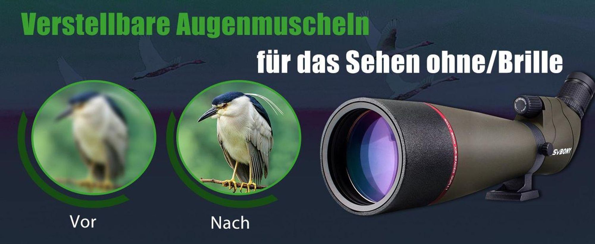 Svbony SV13 Spektiv 20-60x80, mit Tischstativ, Smartphone Adapter, HD Wasserdicht Porro Prisma Abgewinkelt Spektiv Spotting Scope für Vogelbeobachtung