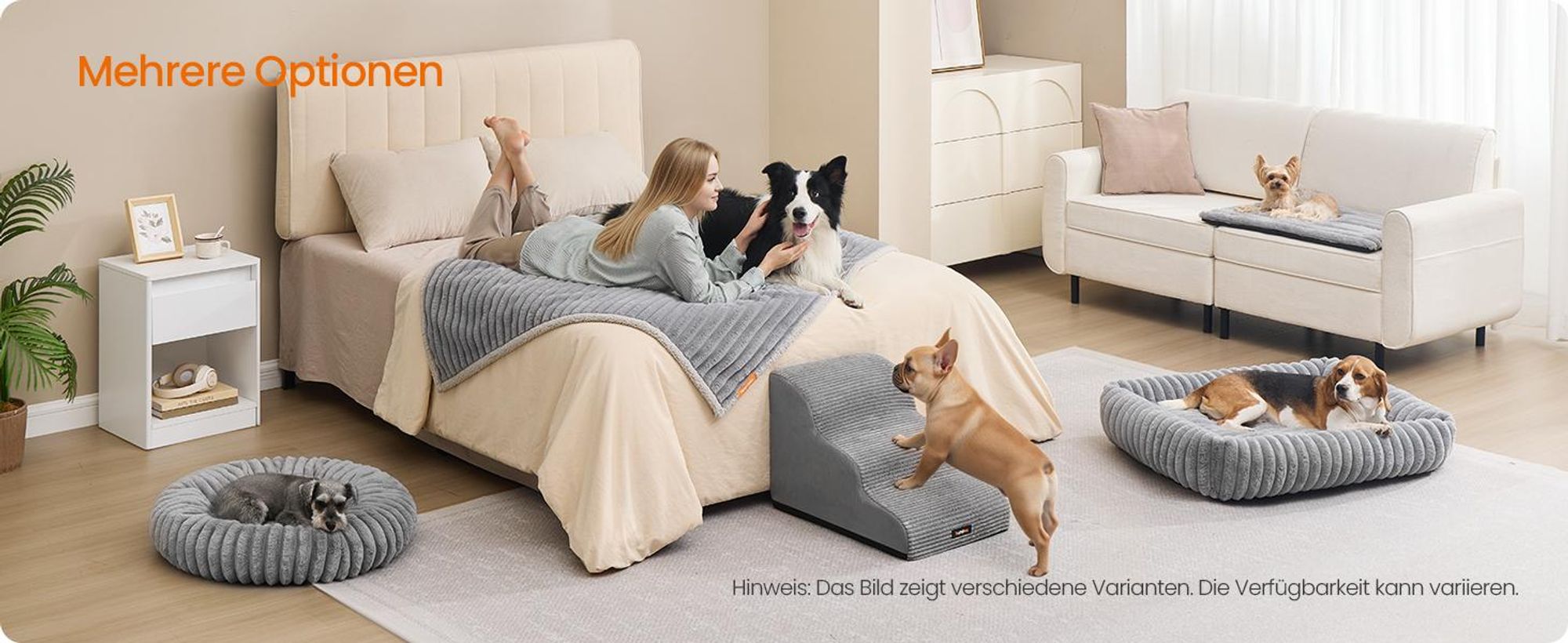 Feandrea Hundebett, mittelgroßes Katzenbett, 60 cm, Hundekörbchen, Hundekissen waschbar