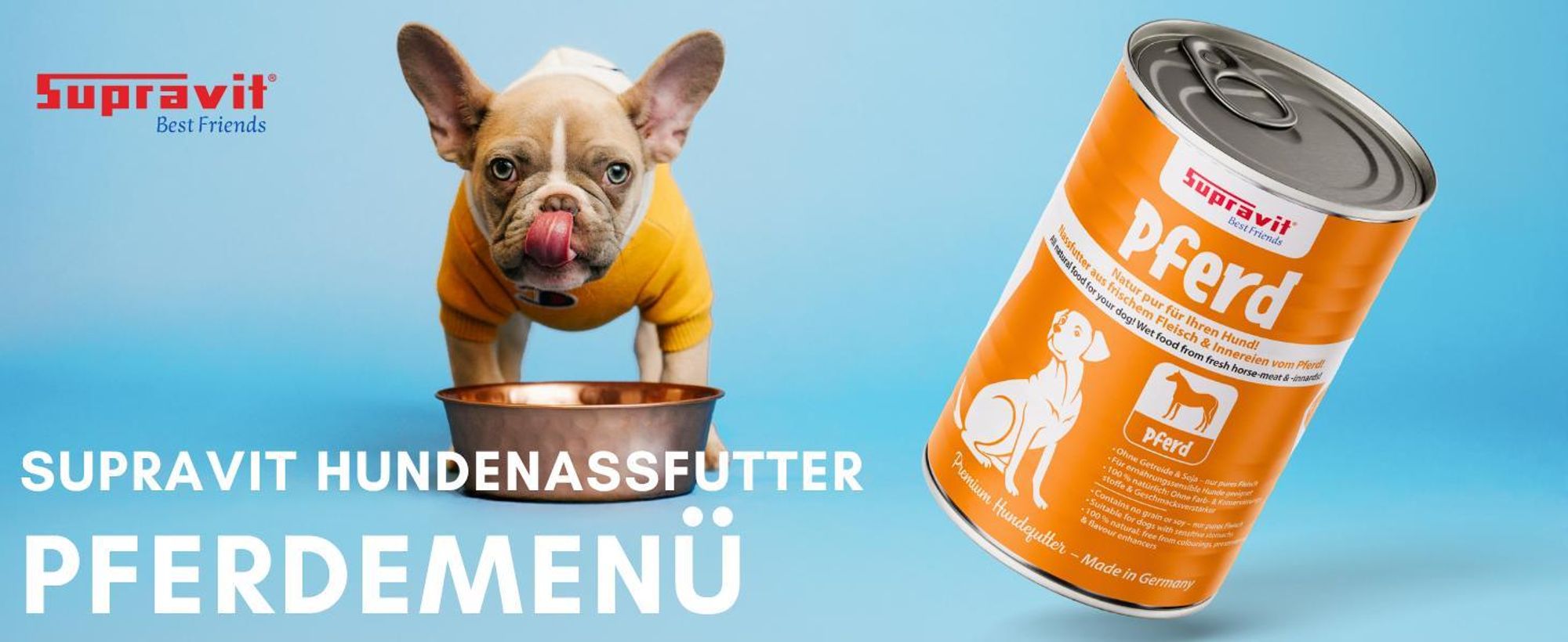 Hund steht überm Futternapf