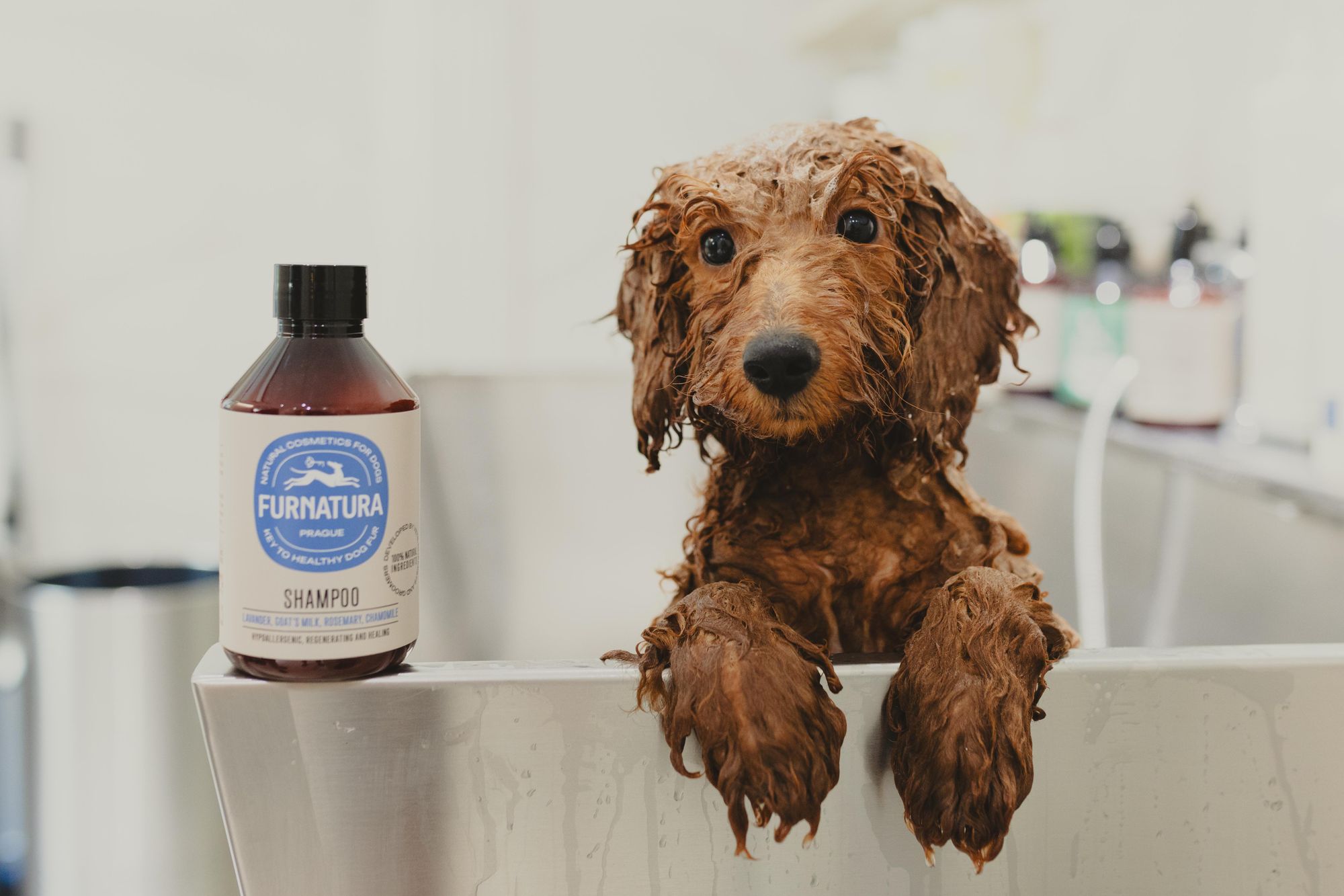 Furnatura Welpenshampoo 500 ml – Für Welpen und empfindliche Hunde