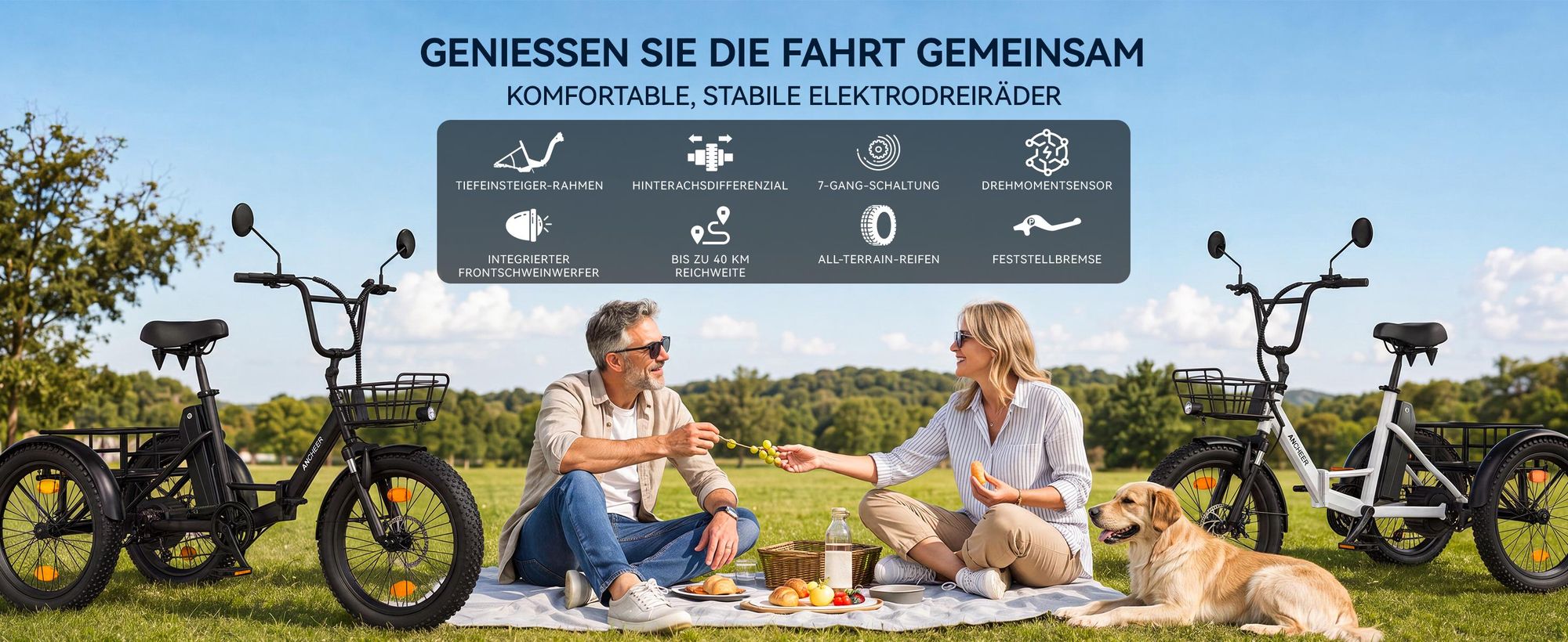 20" Fat Tire E-Bike Dreirad Klappbar, Elektro Lastenfahrrad Erwachsene, 36V 10.4Ah, 250W Motor, Differential, 286kg Zuladung, Doppelkorb, Schwarz