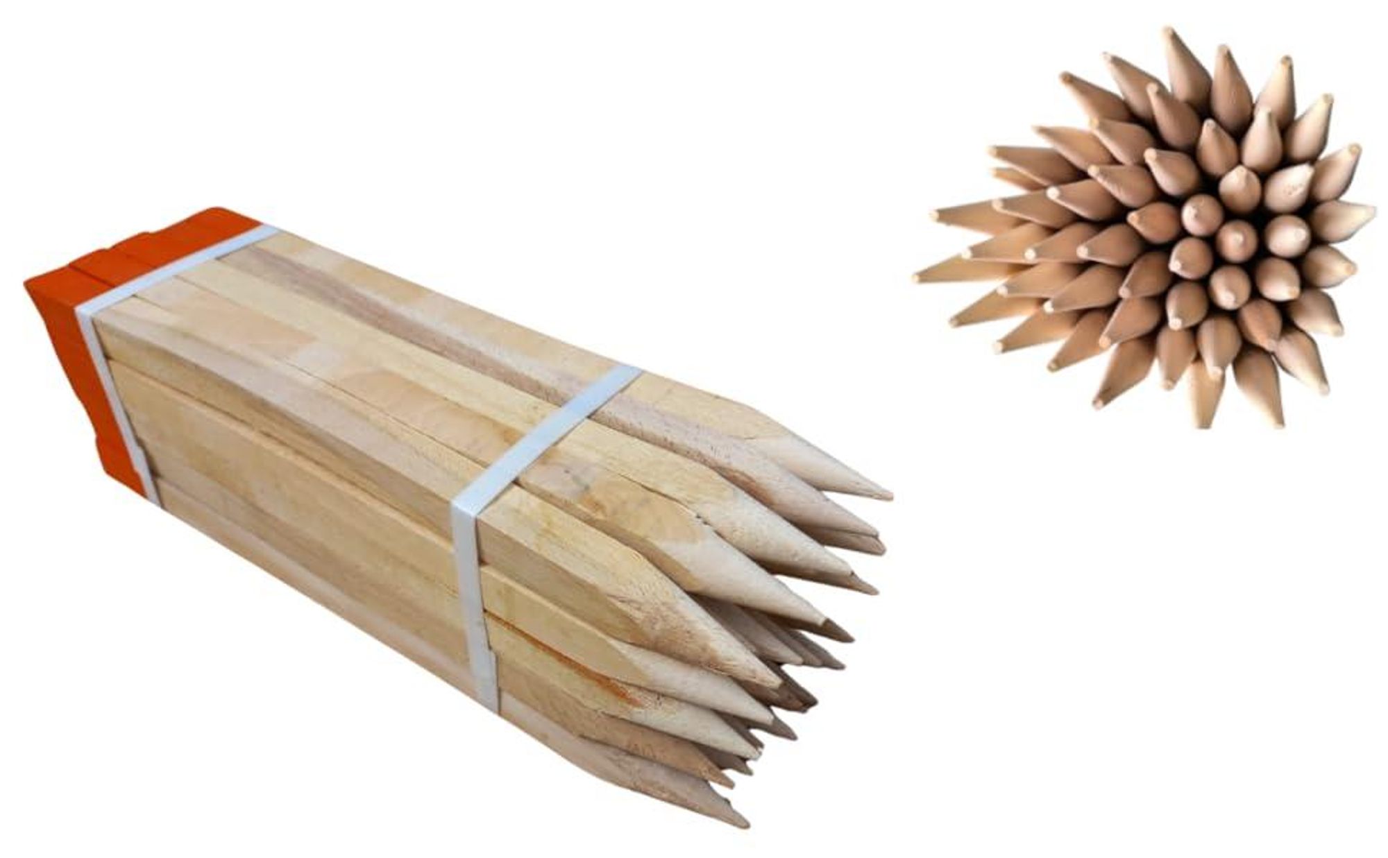 50 Stück Holzpfähle Buche 120 cm – Vermessungspfähle Quadratisch 25x25 mm, Robuste Vermessungspfosten mit Orange Spitze, Pflanzstäbe & Zaunpfosten