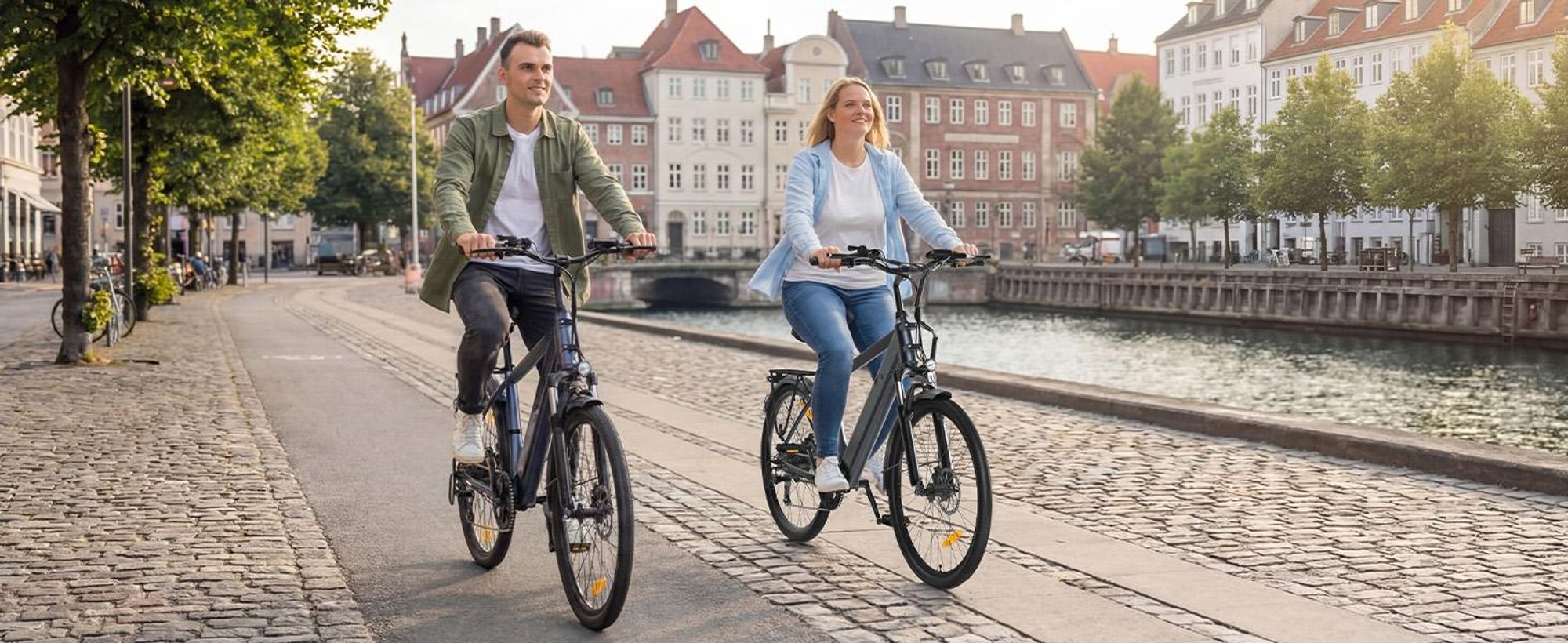 Touroll J2 E-Bike 26 Zoll, 250W Motor, 100 km Reichweite, Shimano 7-Gang, LED Display, Scheibenbremsen, City Elektrofahrrad