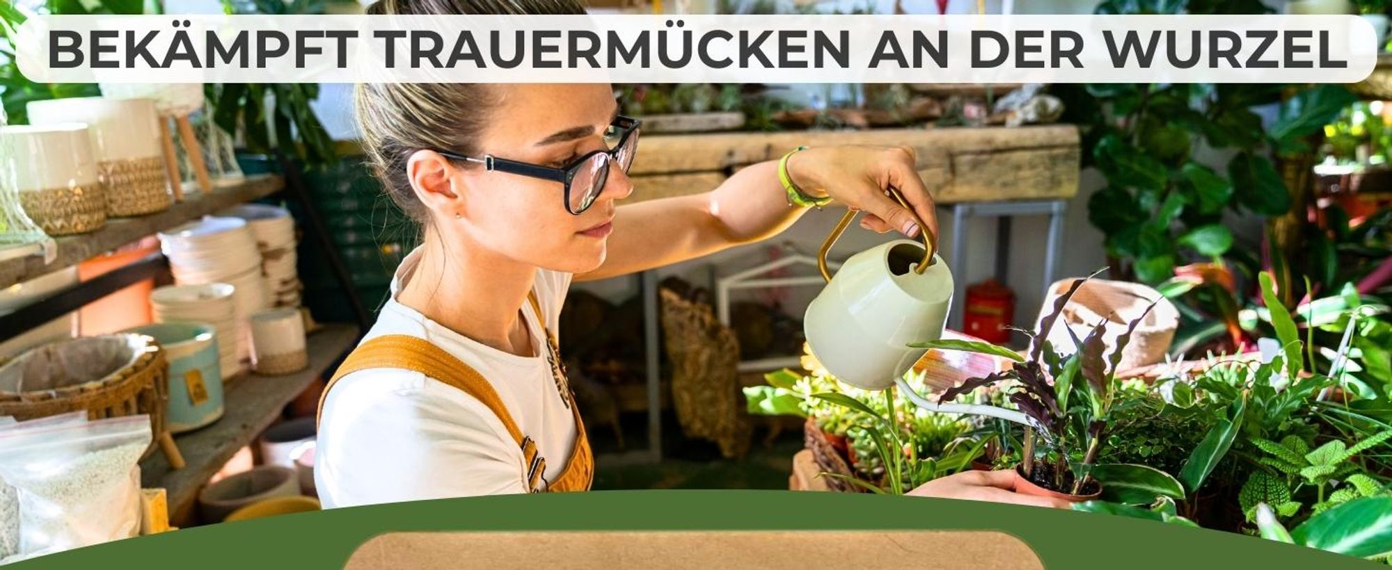 GreenPanda Trauermückenfrei - 40g Pflanzenschutzmittel Trauermücken Larven - effektiv Trauermücken in Wohnung bekämpfen - Pulver