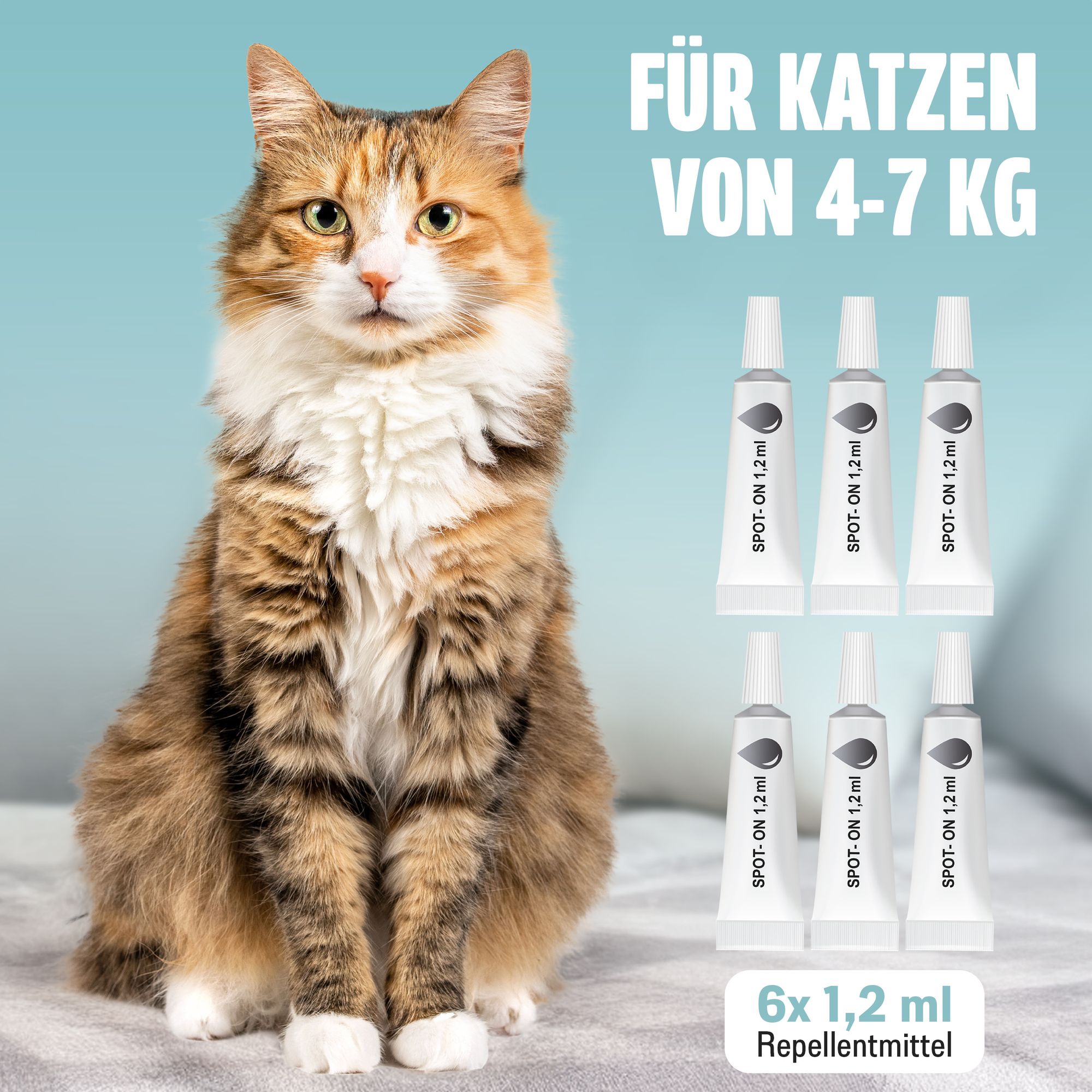 Große Katze auf Bett ( 4- 7 Kg ) mit 6 Pipetten zur Floh- / Zeckenbehandlung 6x1,2ml inhalt