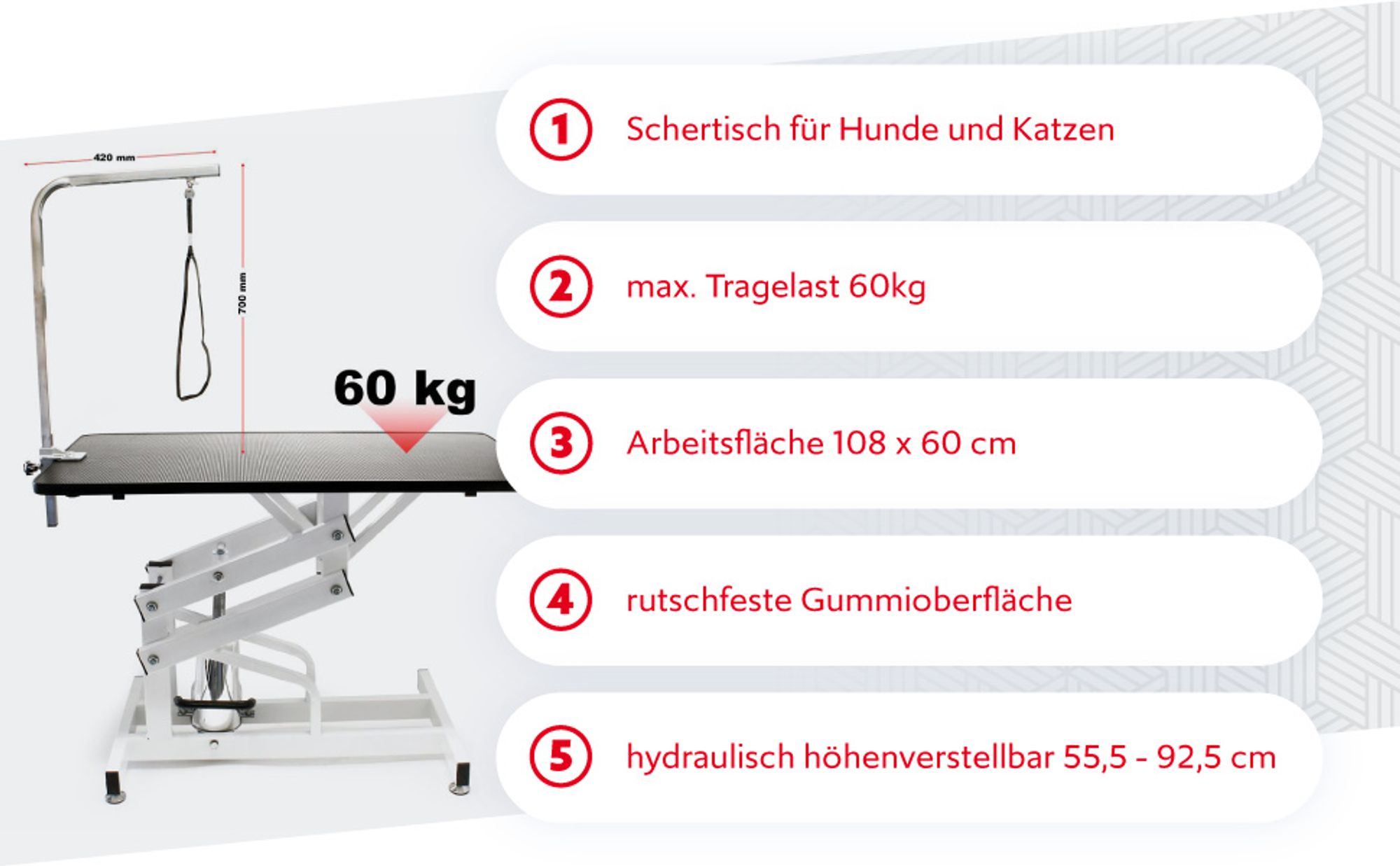 Wiltec Schertisch für Hund und Katze, 108x60x55,5-92,5 cm, Trimmtisch hydraulisch, faltbar, Groomer Tisch mit Galgen, Pflegetisch für Tiere