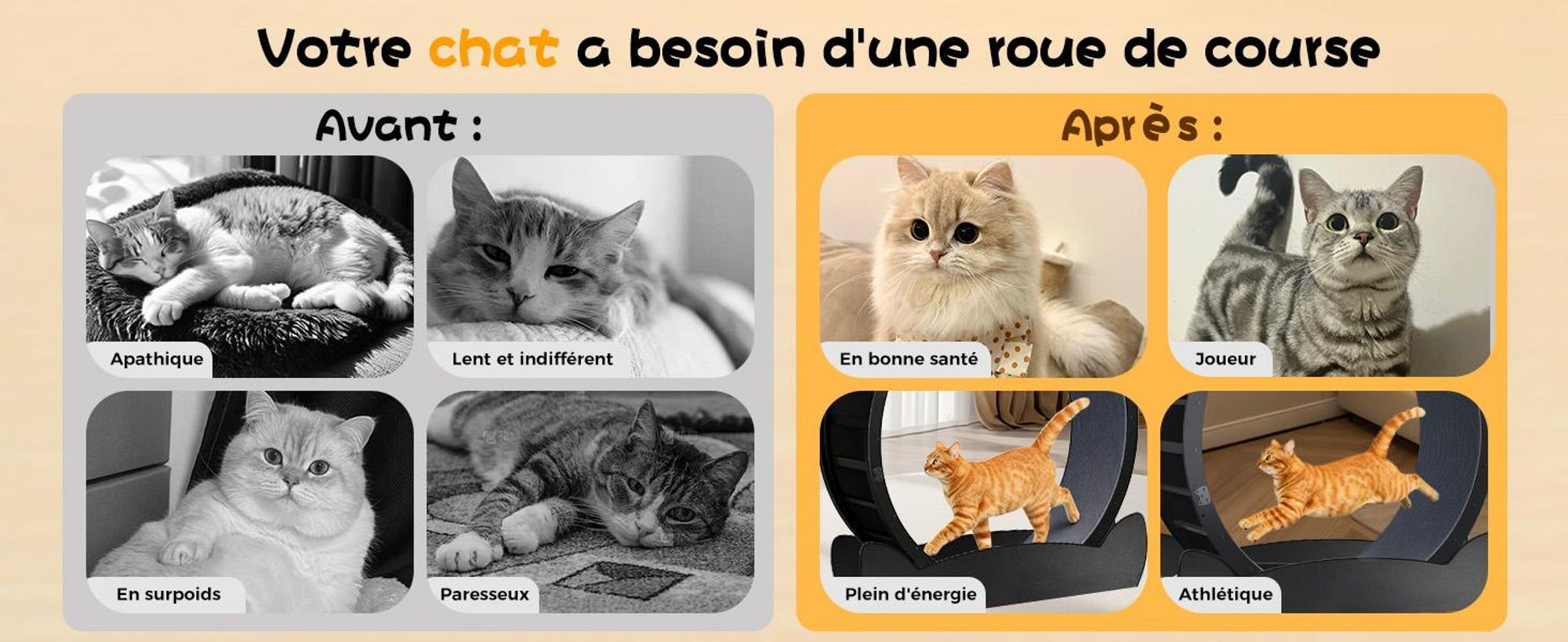 GTPLAYER Roue d'exercice pour chats, roue d'exercice pour chats, extra grande 100 cm, roue d'exercice ultra silencieuse avec tapis et jouets amovibles, autocollants, verrouillage, geeign