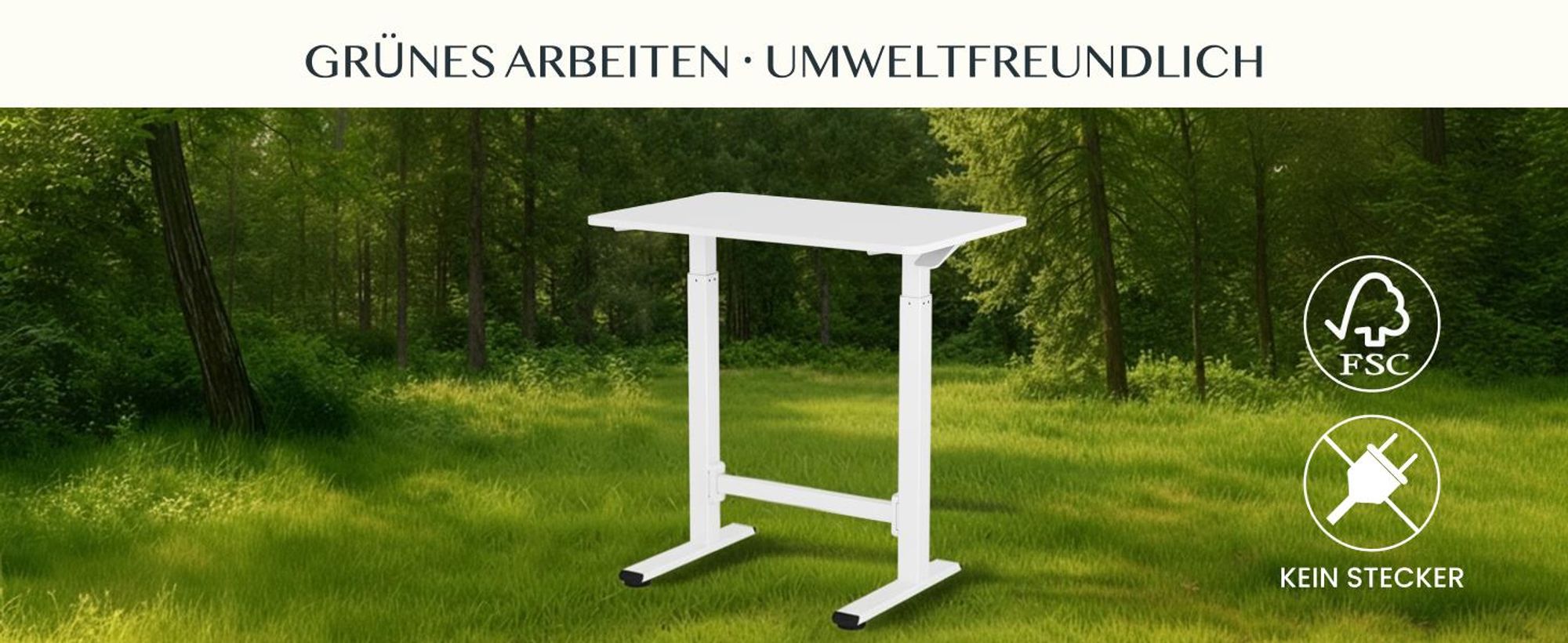 FLEXISPOT Gasfeder Höhenverstellbarer Schreibtisch 80×50 cm – stufenlos manuell verstellbar, Steh-Sitz-Tisch ohne Strom, mobil mit Rollen (Weiß)