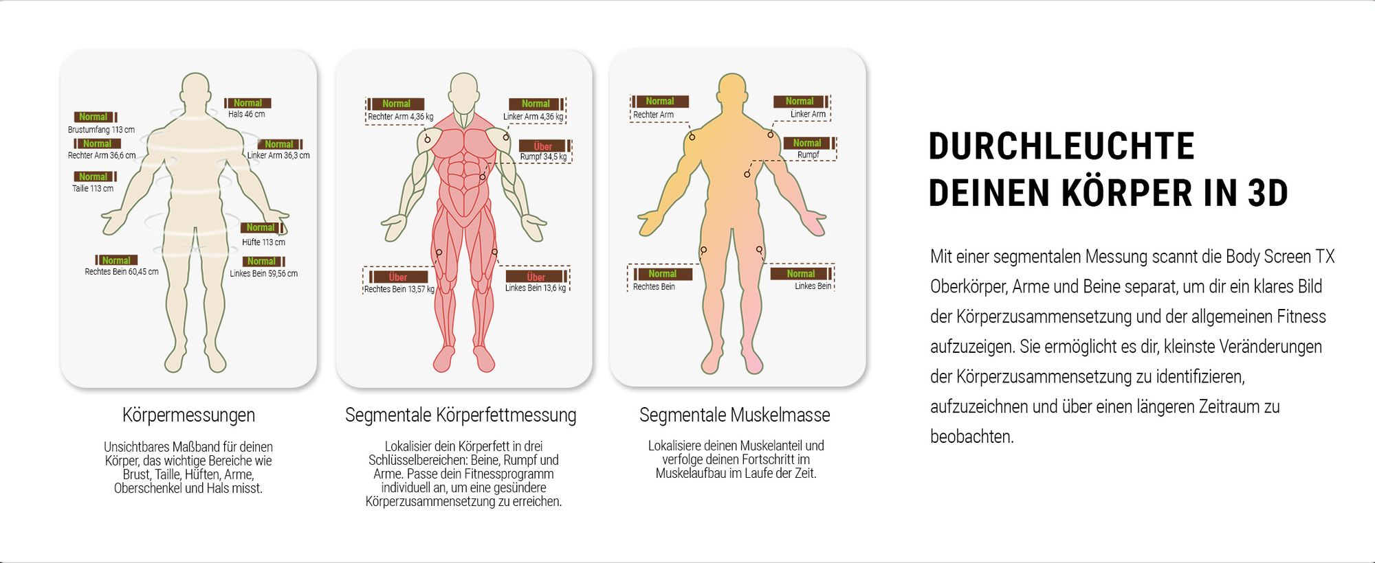 HAMMER Körperanalysewaage Body Screen TX, schwarz, 8 Sensoren, 15 Messungen inkl. App
