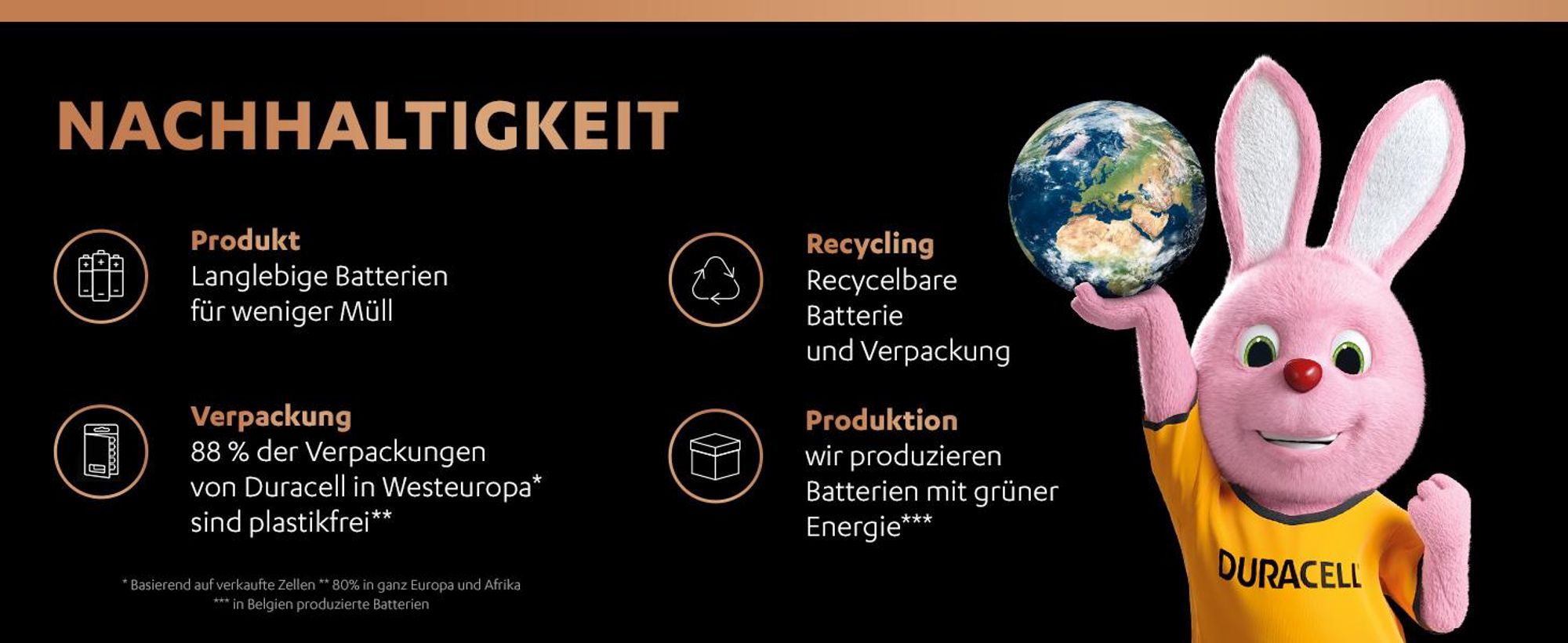 Duracell AA Batterien 1,5 V Alkaline, geeignet für Spielzeug, Fernbedienungen und Alltagsgeräte