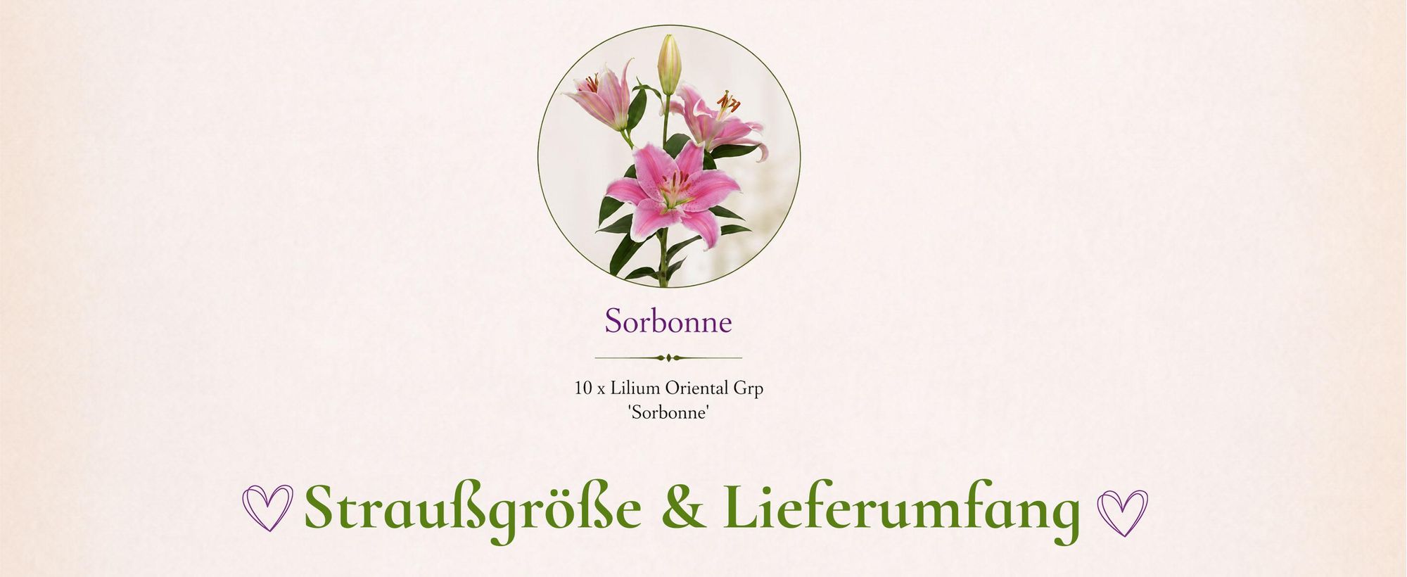 Blumenstrauß Pinke Lilien | Geschenk - frische Blumen | Blumenversand von BLOOMY DAYS