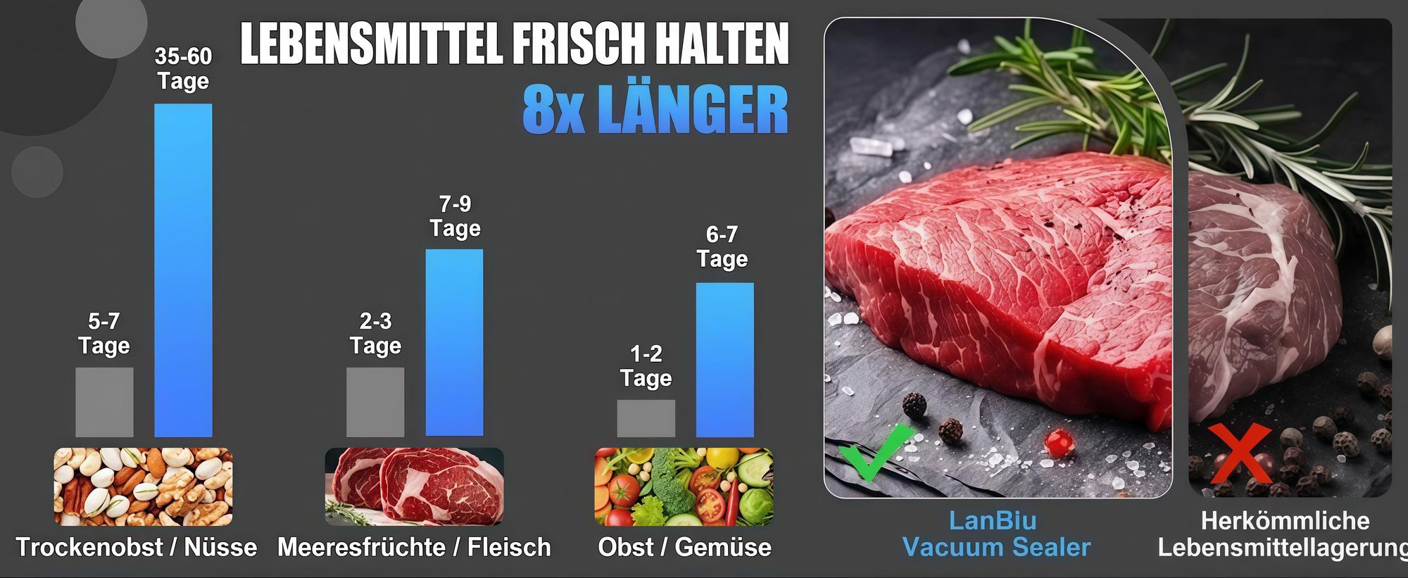 Profi Vakuumiergerät (-80kPa, 30cm) mit UV-Desinfektion & Zubehör