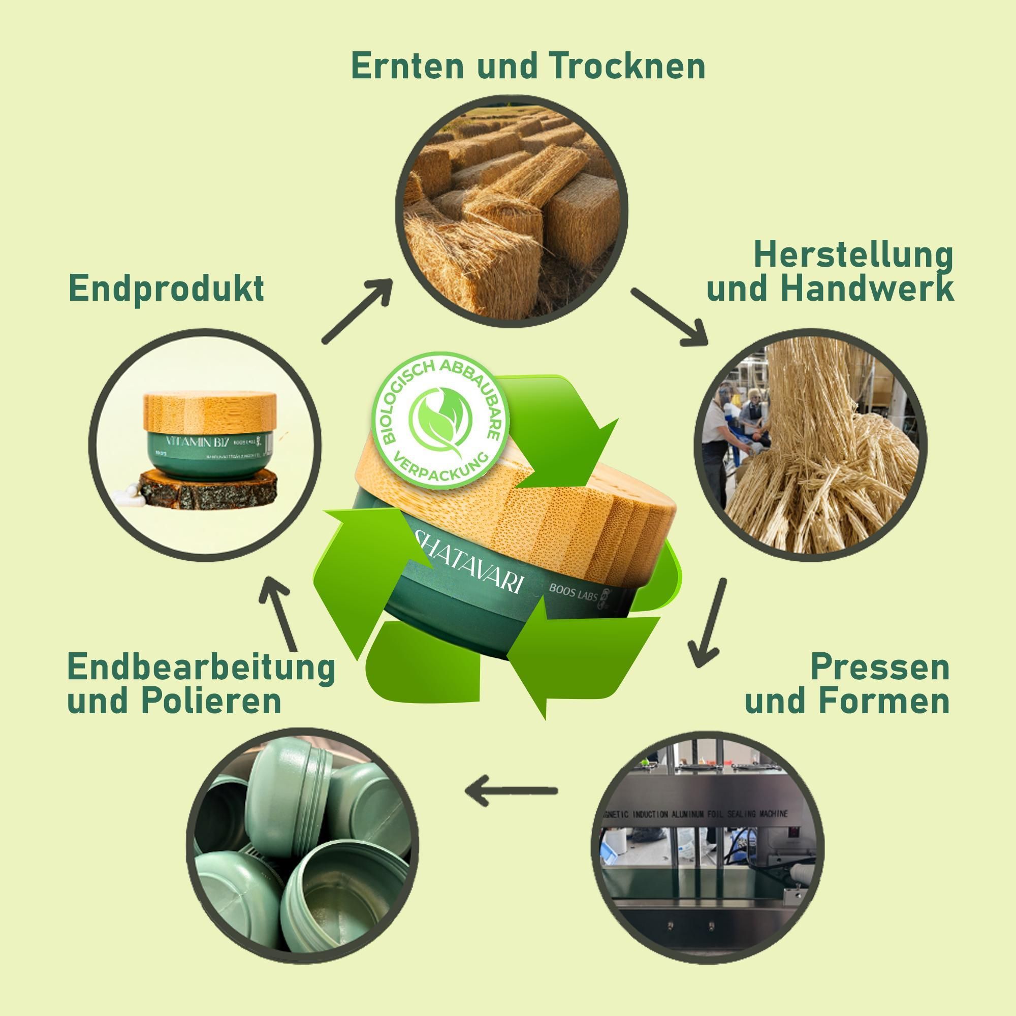 BOOS LABS Shatavari I 500mg I 100% natürliches Shatavari Pulver, 150 Vegane Kapseln, 3 vegane Kapseln pro Tag, reine Zusammensetzung ohne Zusatzstoffe
