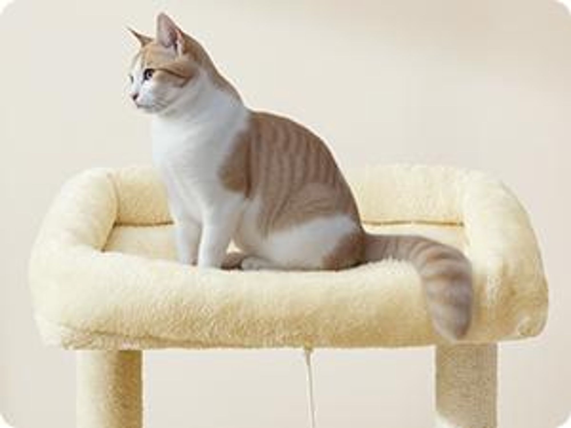 FEANDREA Kratzbaum für Raumecke, Katzenbaum, mit großer Kuschelhöhle, großen Plattformen, mehr Stabilität Sandbeige