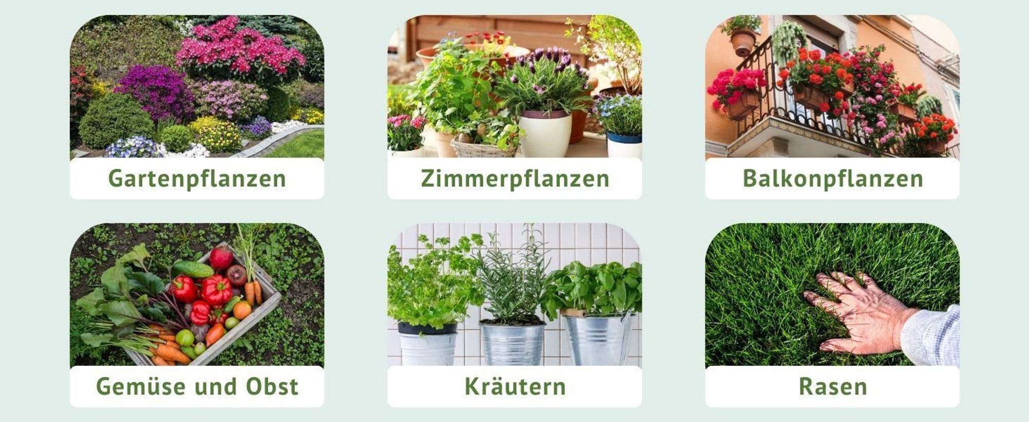 Best for Home -Rasenerde mit -Zutaten: 10%- 20% für einen gesunden und nachhaltigen Rasen. und torffrei. Erhältlich in 20Liter und 50Liter -50L