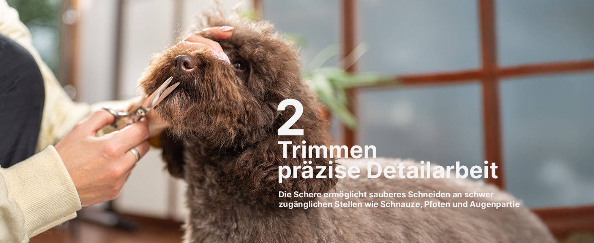 RAGI Leise Hundeschermaschine, Profi Schermaschine für Hund Katze, Kabellose Tierhaarschneidemaschine Elektrische Hundetrimmer, Haarschneidemaschine
