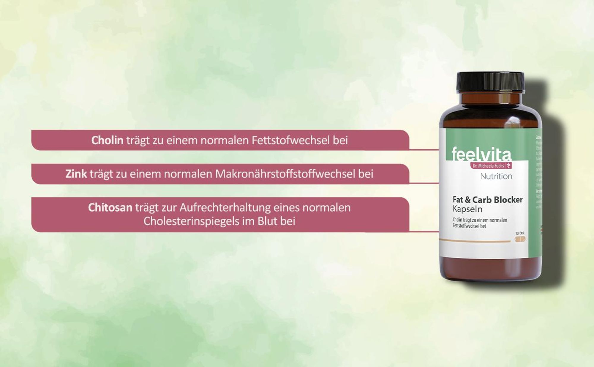 Genius Feelvita Nutrition Fat & Carb Blocker mit Zink & Cholin für normalen Fettstoffwechsel, Kapseln 4-Monatsvorrat (240 Kapseln) - Germany